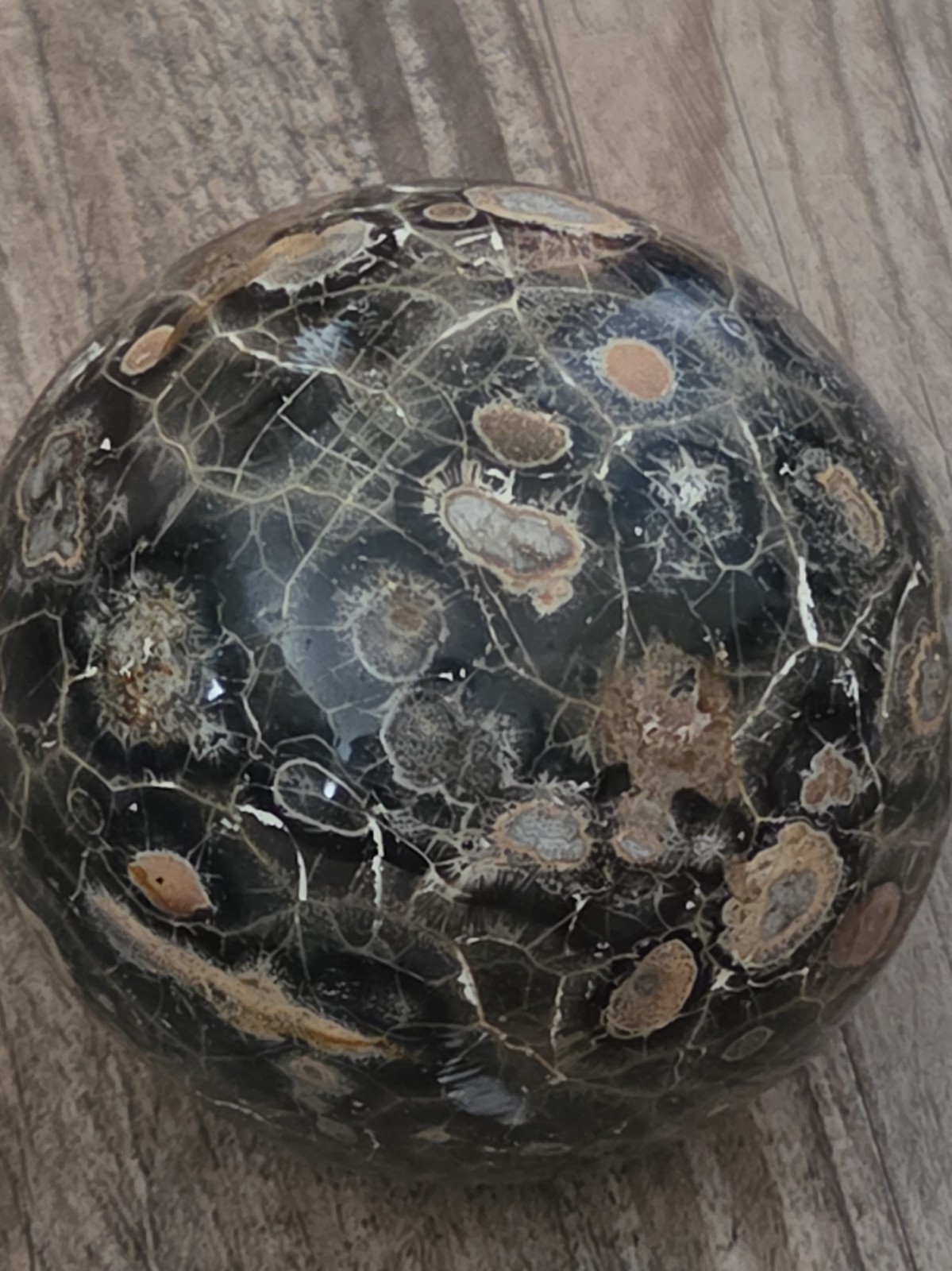 Vintage Leopard Skin Jasper Lapidary Specimen 2lb 11oz Trade Show Find 4\
