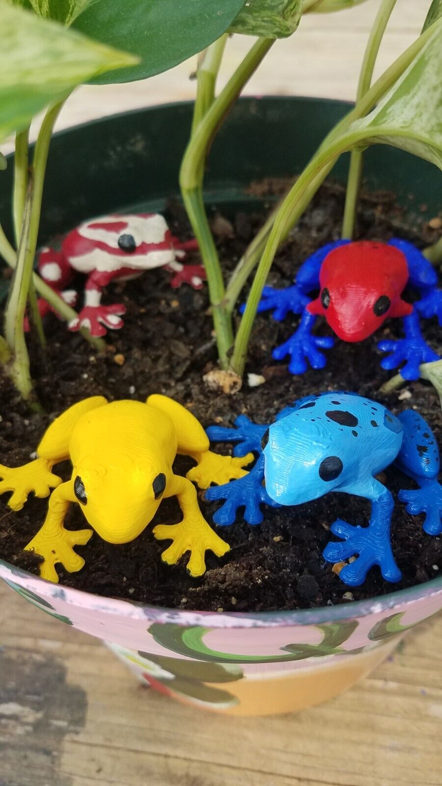 5ct 3D Printed Poison Dart Frog Magnets
