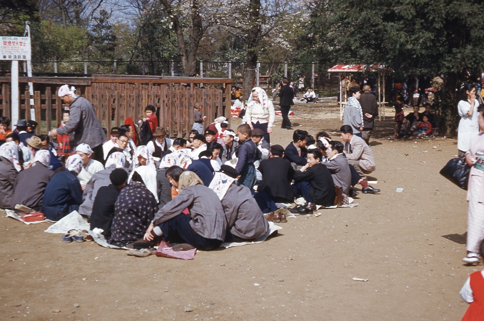 sl44 Original slide 1950’s Red Kodachrome Japan women men kids sitting 930a