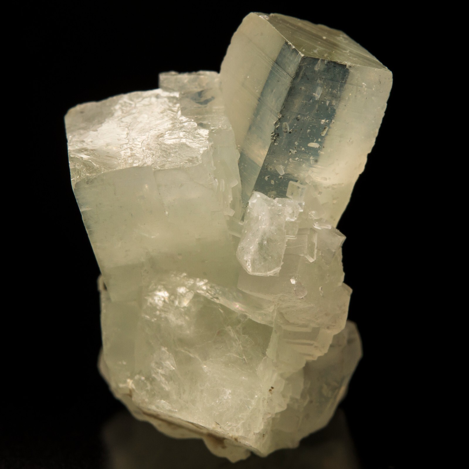 Melanson TN Coll Prehnite Jeffrey Mine, Estrie, Quebec, Canada 1212-6561