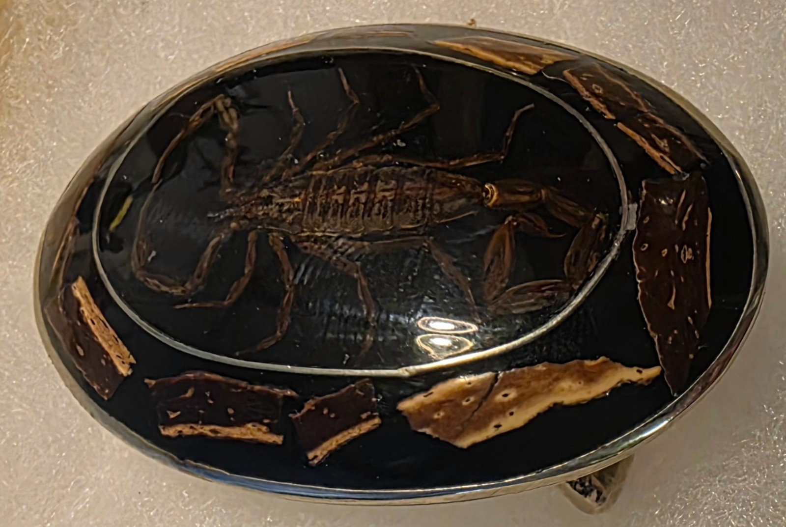 Vintage Alpaca Silver Scorpion Belt Buckle, Oval Black Inlay, Insect Specimen, S