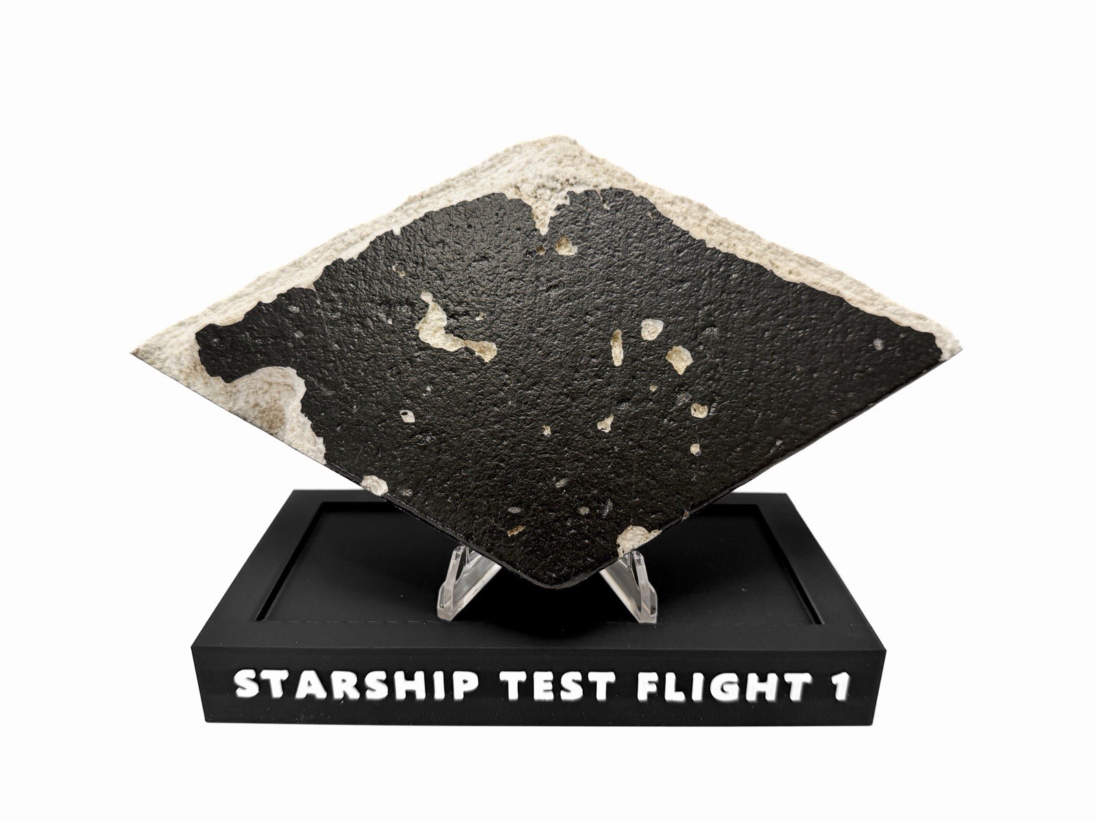 Space X Starship Epic Flight Flown Relic and Bonus Prints