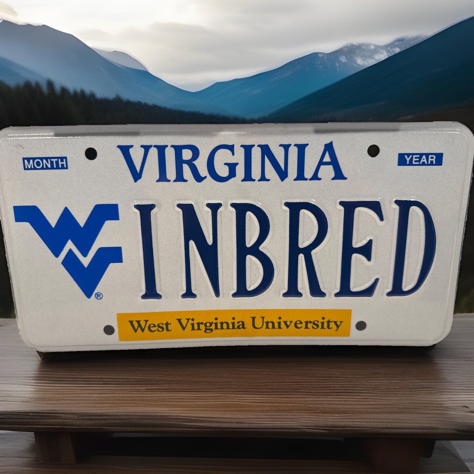 Exp Va Personalized Vanity License Plate West Va. Collegiate INBRED Bar Sign