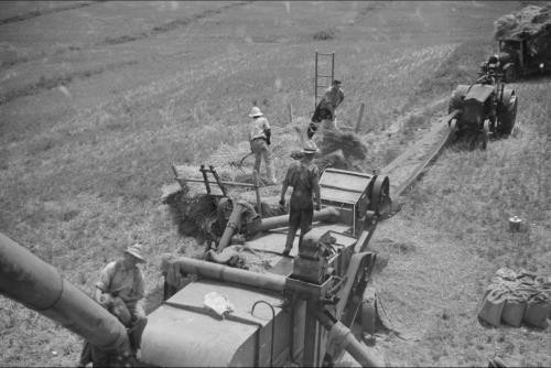 Brookeville Maryland 1937 Threshing Oats Farm Workers Tractor Montgomery County