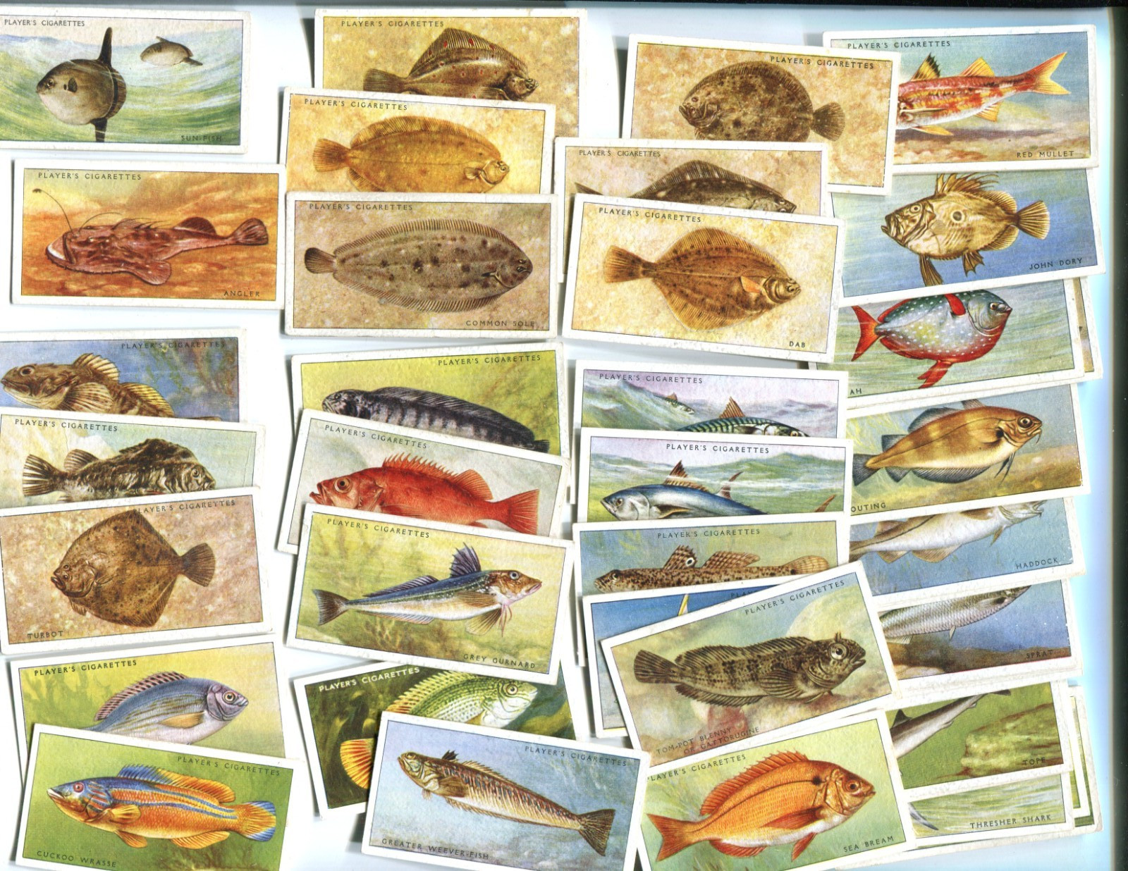 1935 JOHN PLAYER & SONS SEA FISHES 50 DIFFERENT TOBACCO CARD SET