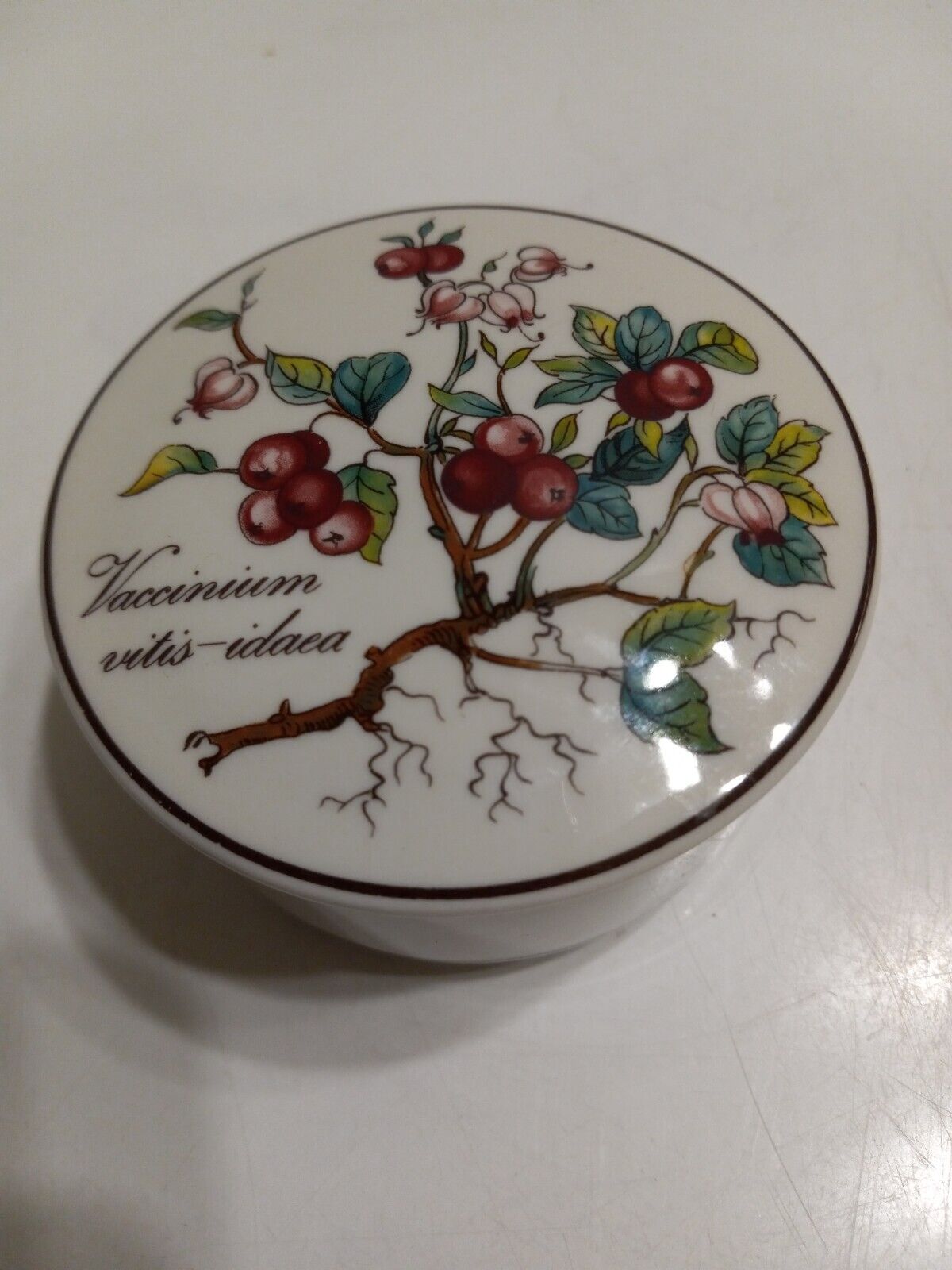Vintage VILLEROY AND BOCH  Porcelain  Botanica Pill Or Trinket Box Stamped,...
