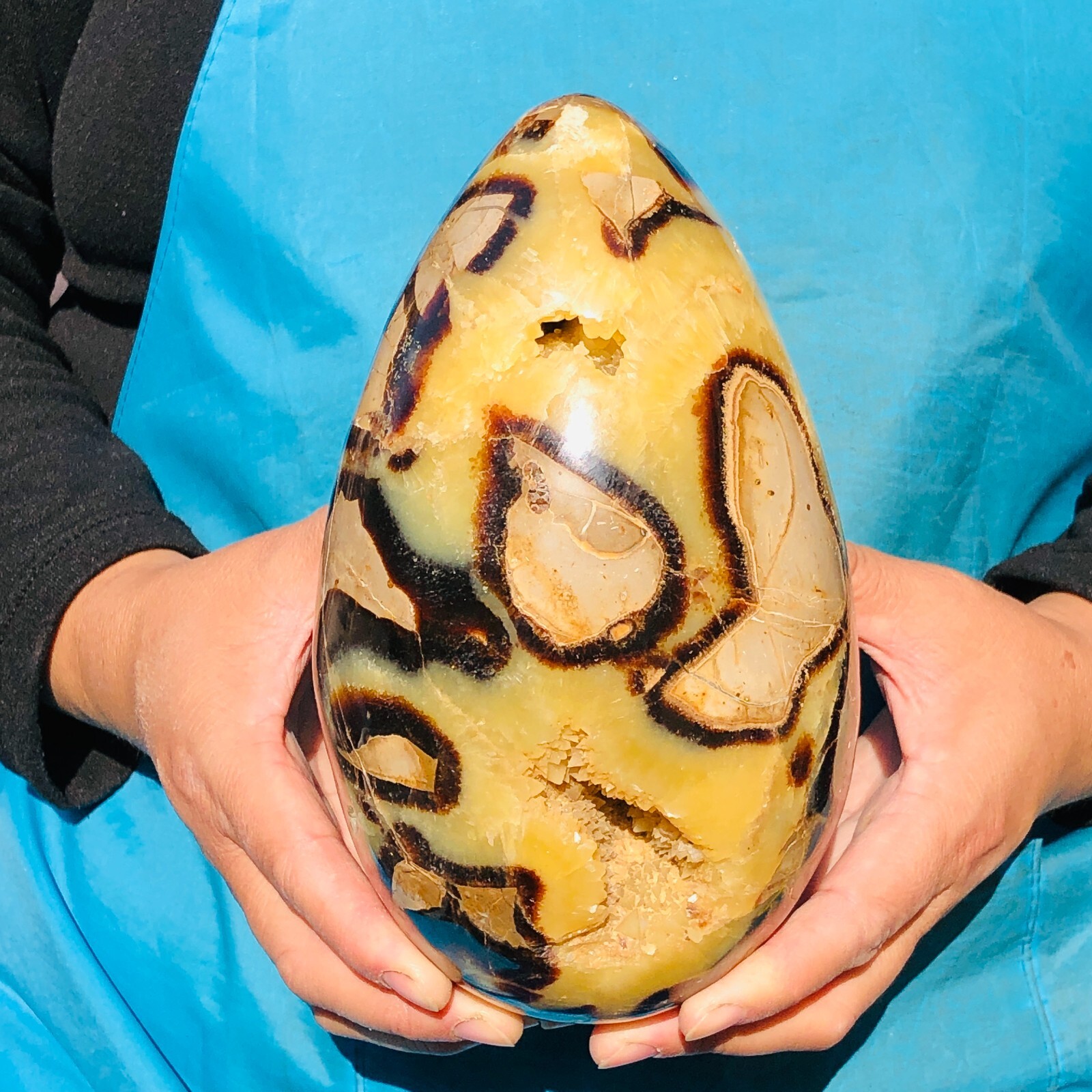 6.6LB  Top Natural Dragon Septarian Crystal Geode Quartz Egg Mineral Specimen