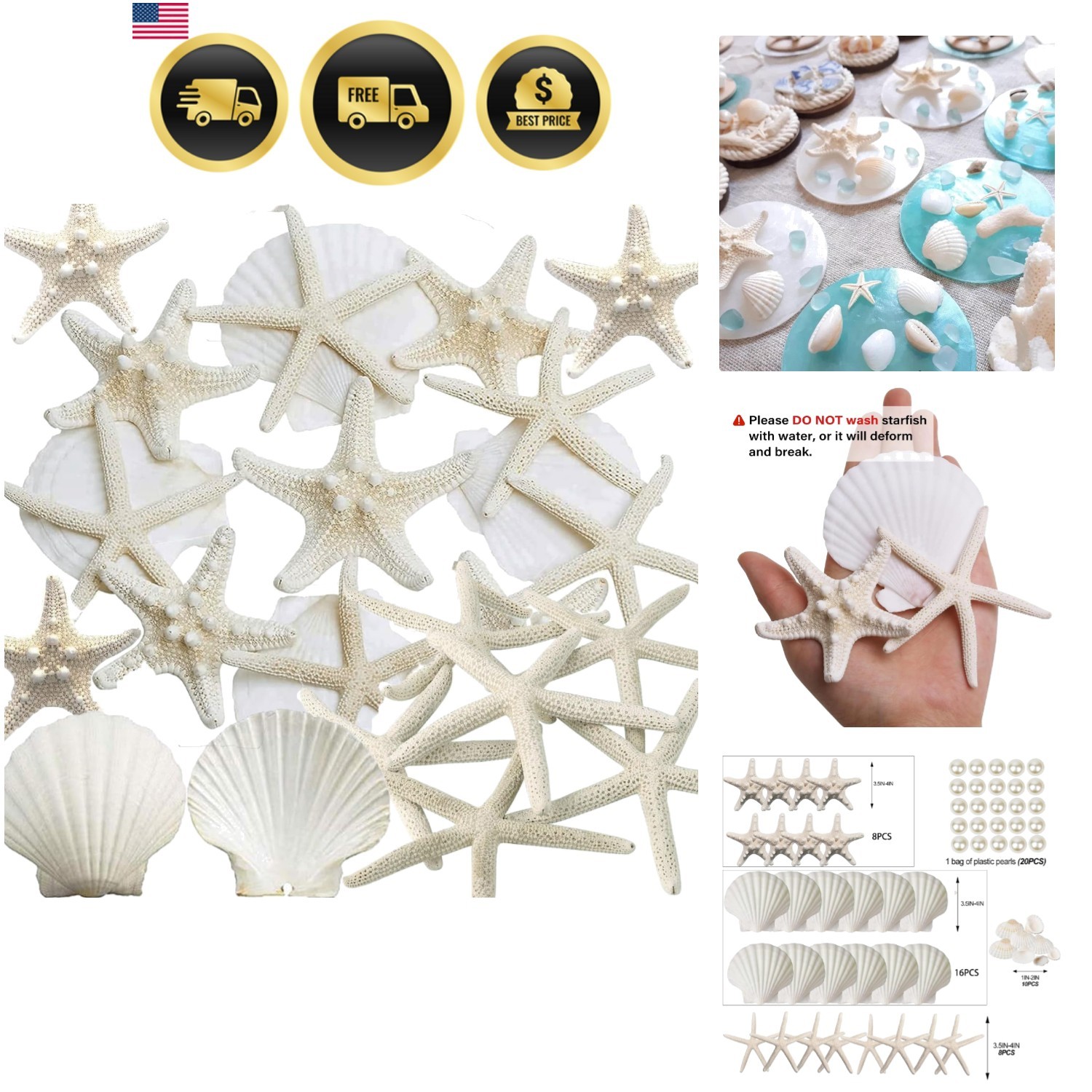 32PCS Starfish and Scallop Shells for Crafts 3\