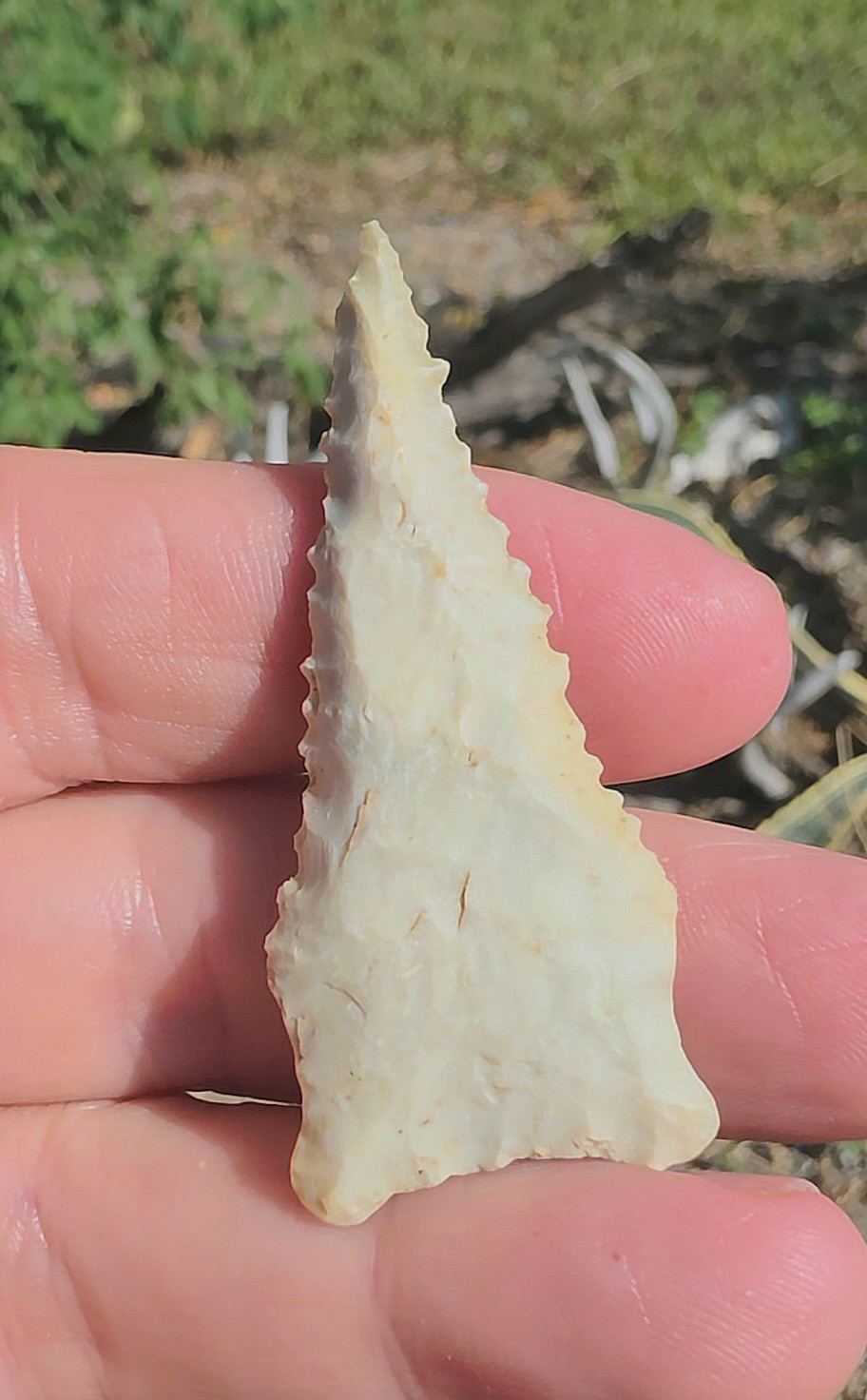 Super Nice Authentic Serrated  Dalton Nuckolls Indian Arrowhead COA