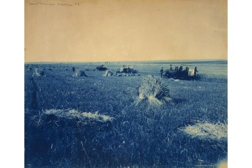 Harvest scene, farming, Brookings, South Dakota, Detroit Publishing Company,