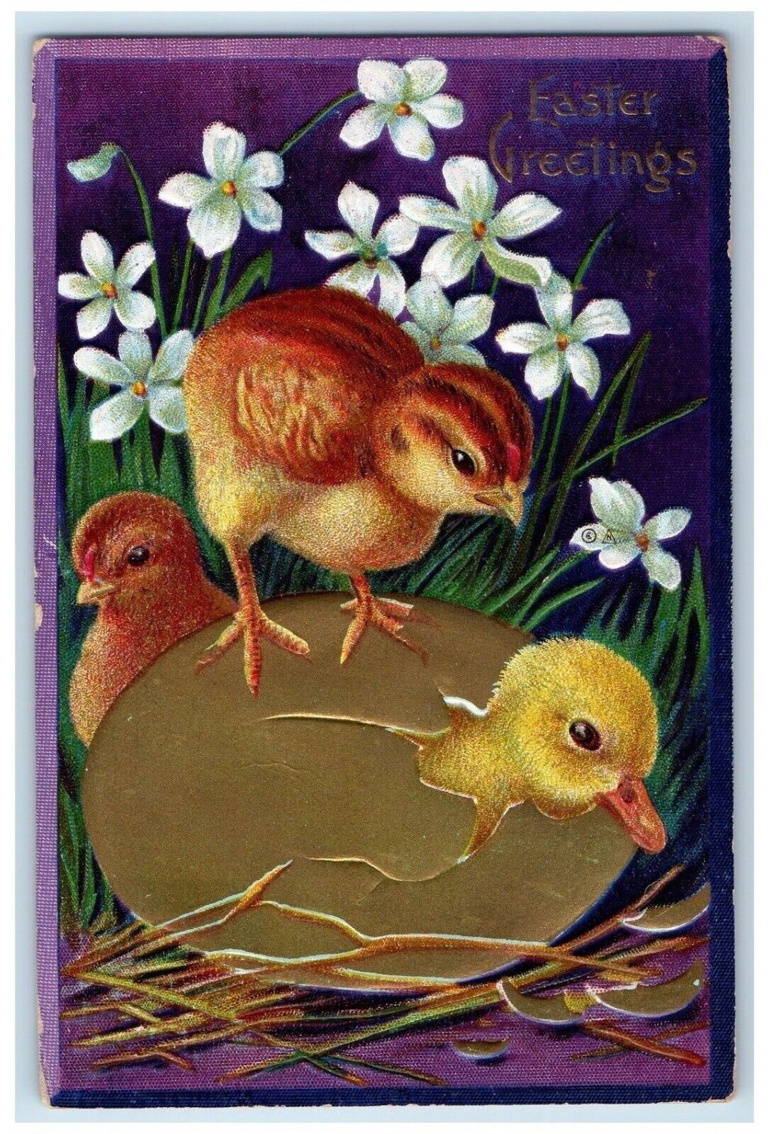 c1910\'s Easter Greetings Hatched Egg Chicks White Flowers Winsch Back Postcard