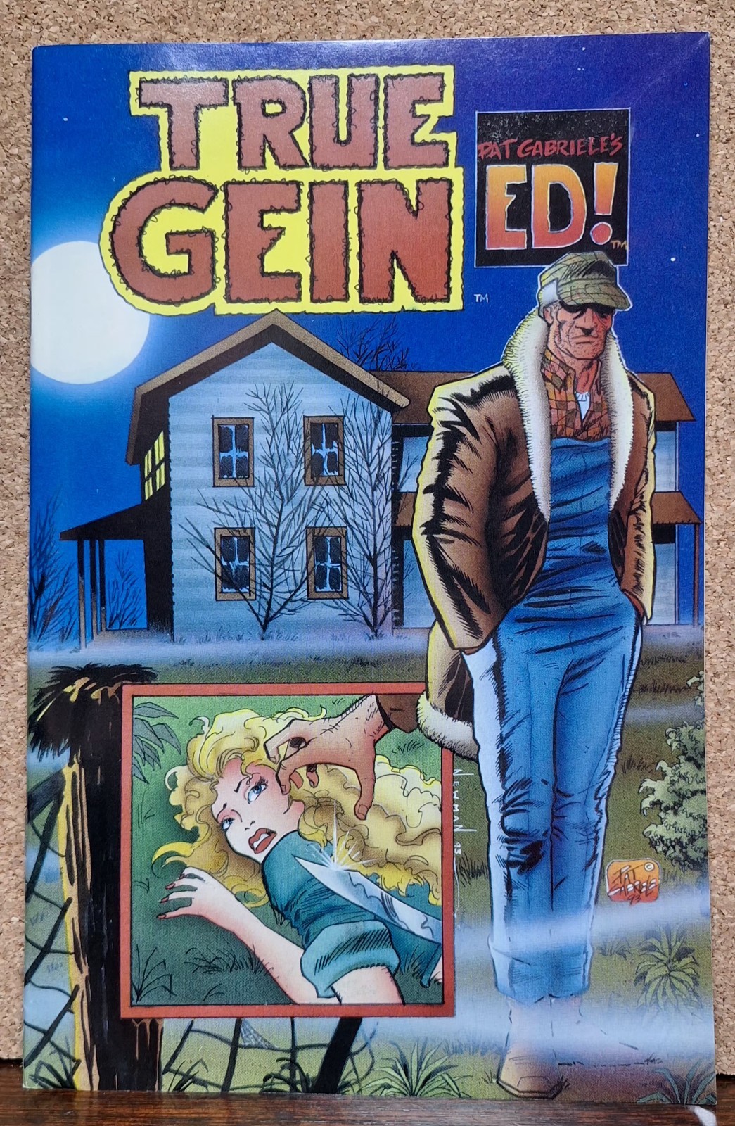 True Gein Comic Book May 1993 1st Print, Boneyard Press, Ed Gein True Crime RARE