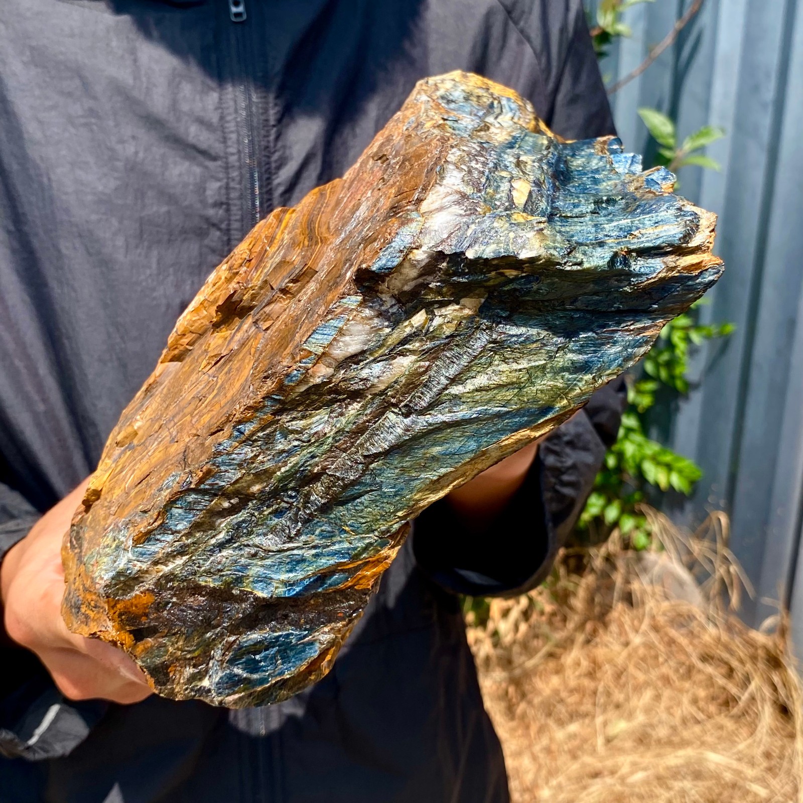 9.25LB Natural tiger's Eye rough raw stone rock specimrn madagescar