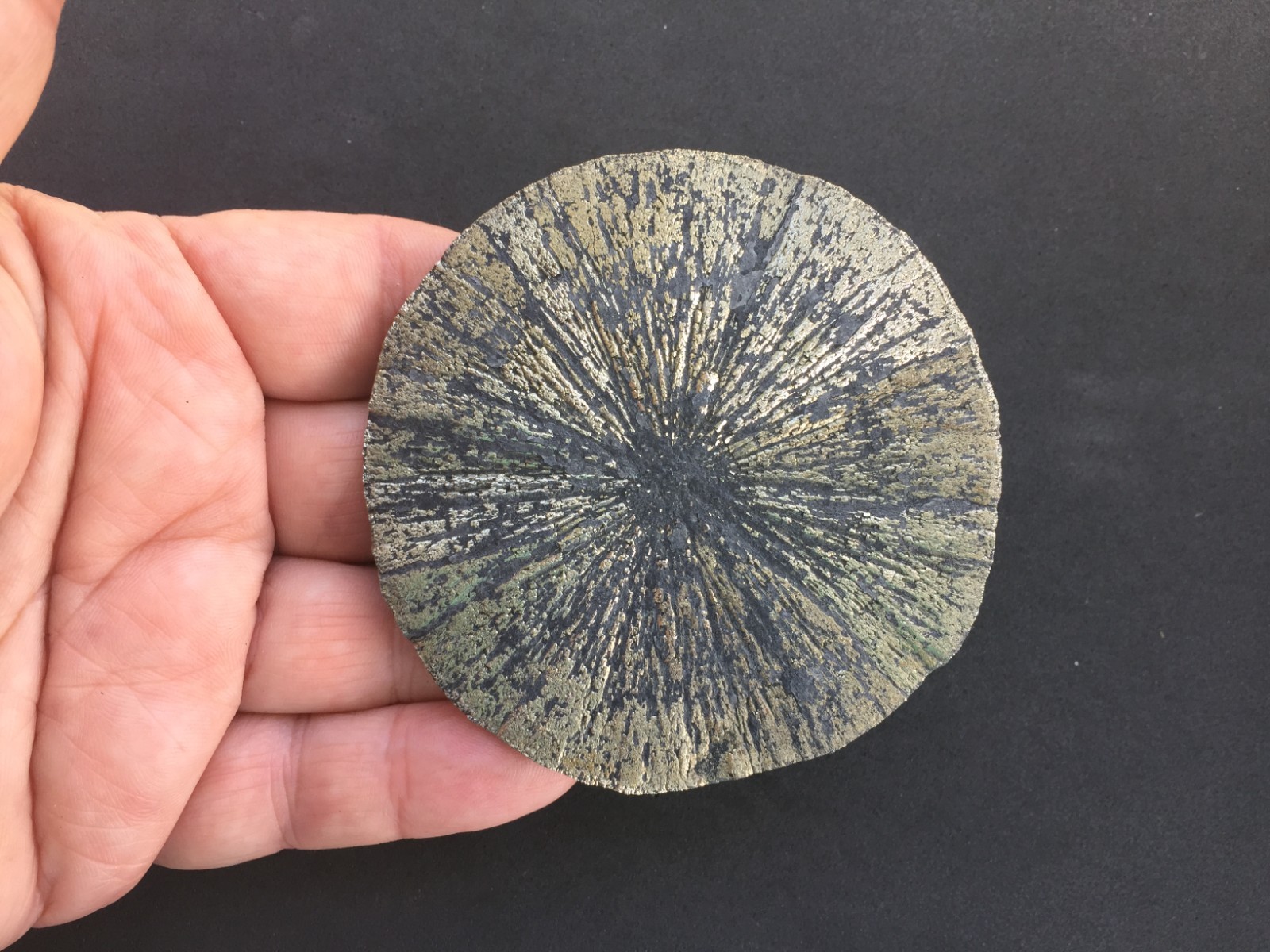 Pyrite Sun Miners Dollar 3\