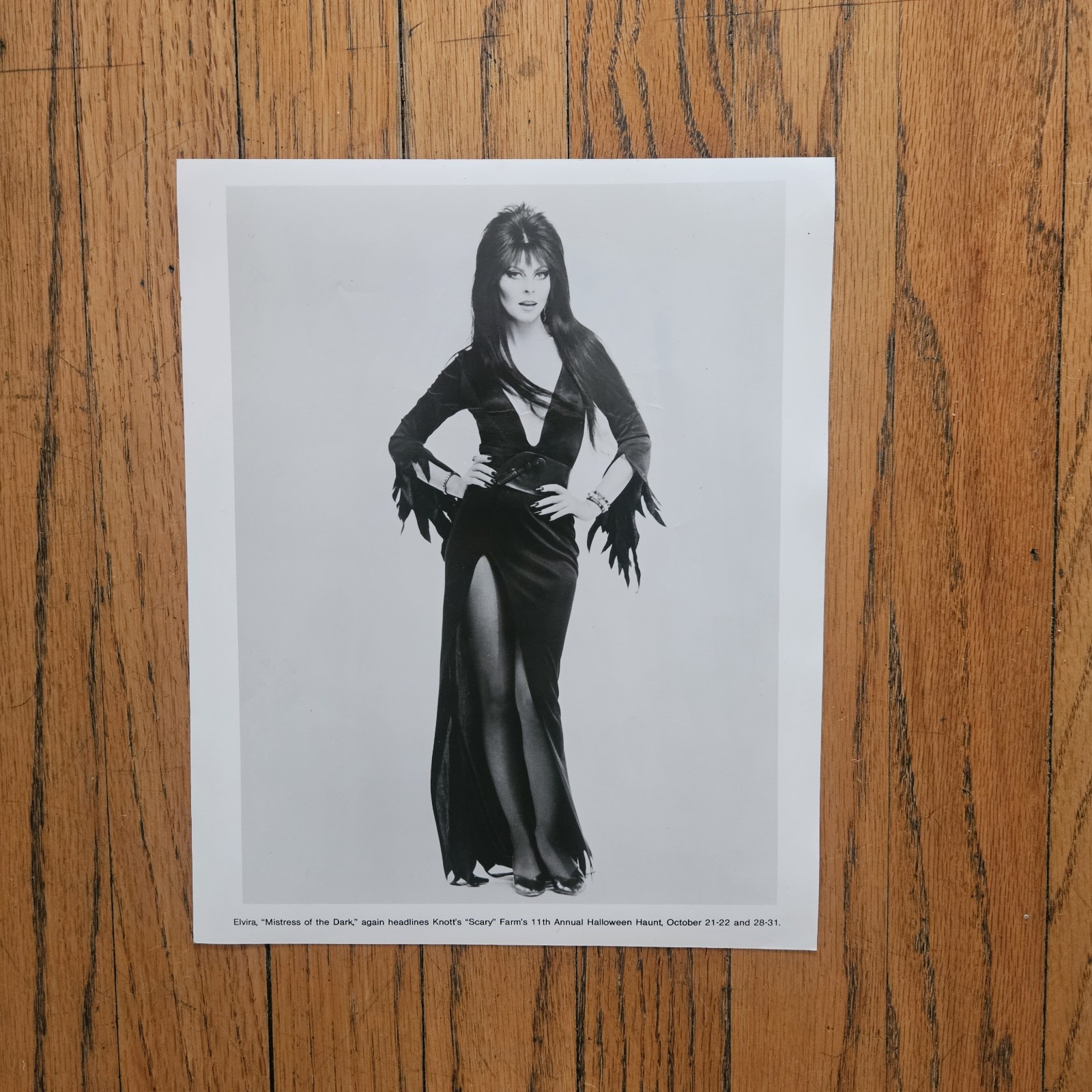 RARE PROMO PHOTOGRAPH OF ELVIRA MISTRESS OF THE DARK KNOTTS BERRY FARM HALLOWEEN RARE PROMO PHOTOGRAPH OF ELVIRA MISTRESS OF THE DARK KNOTTS BERRY FARM HALLOWEEN