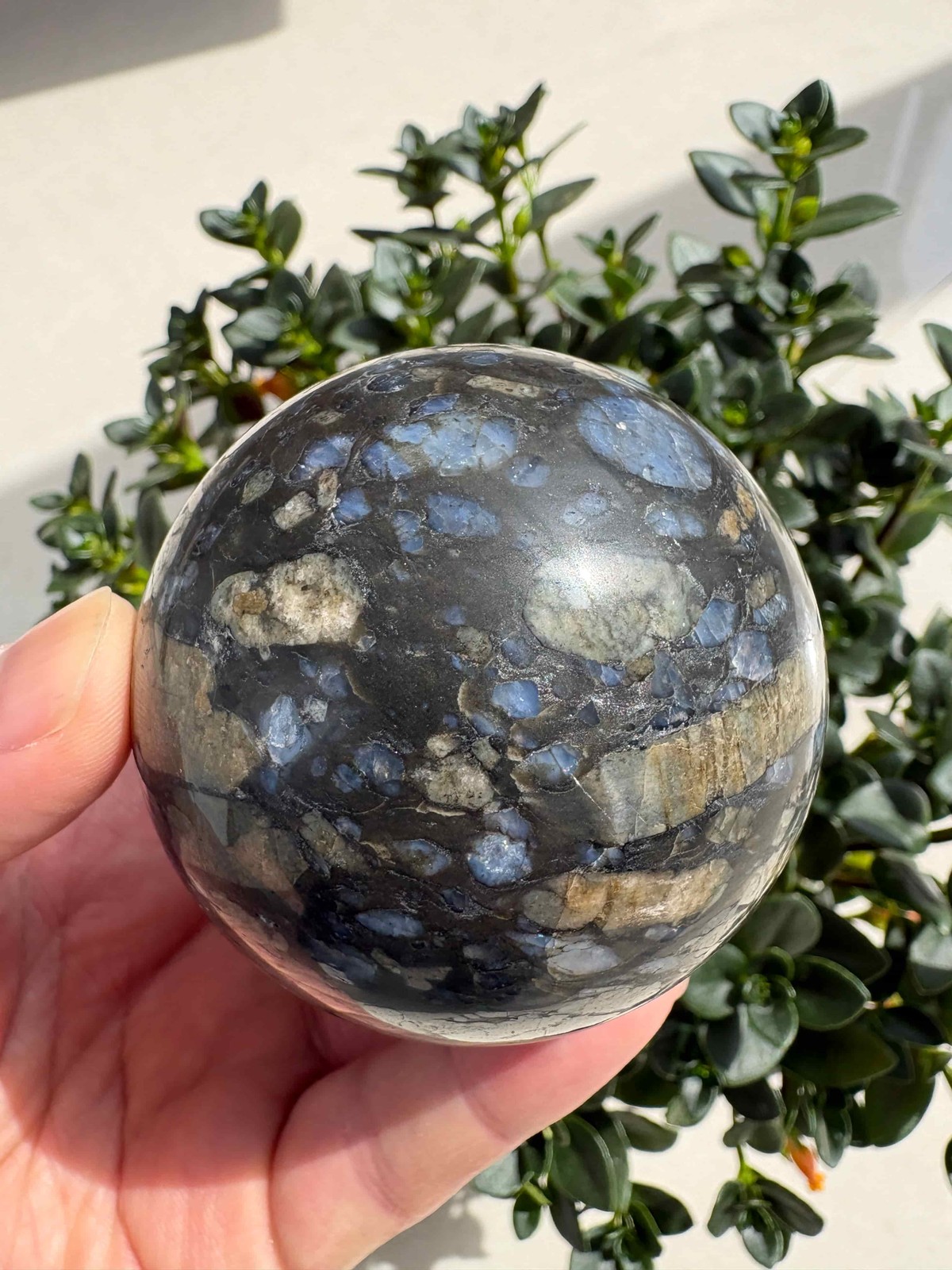 Natural Que Sera Stone Sphere 2.6