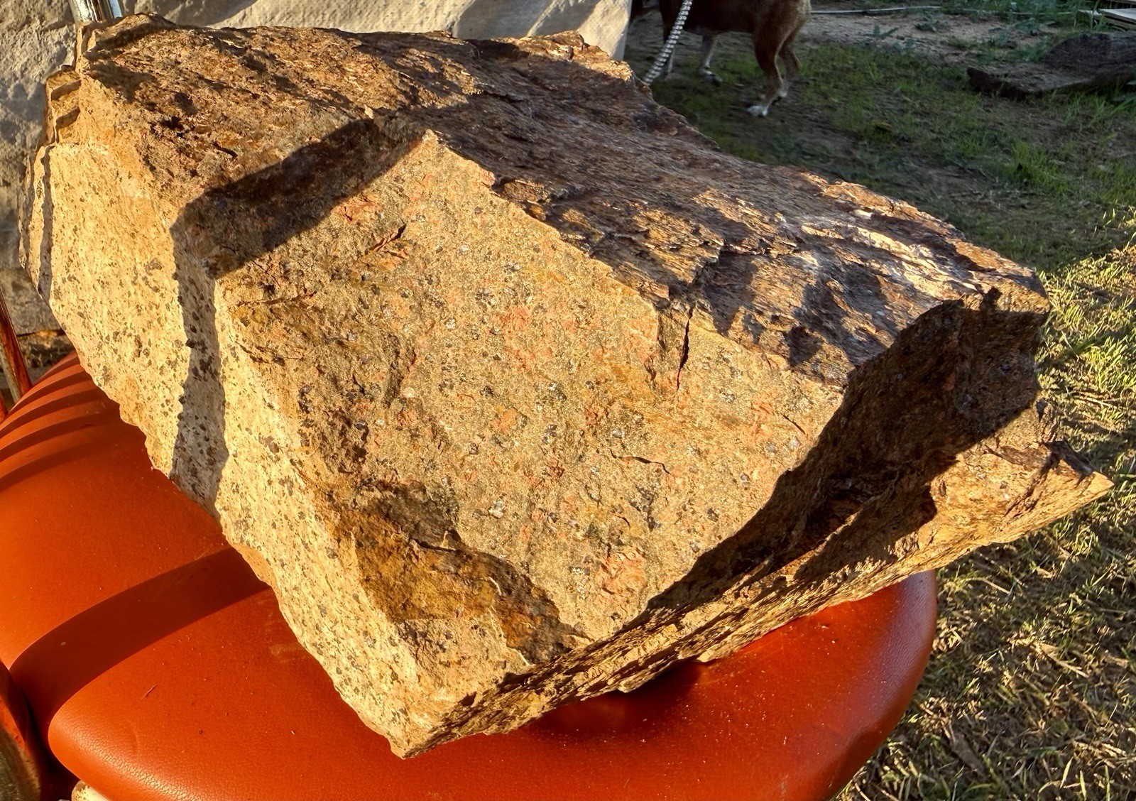 TEXAS LLANITE~Huge 44# Boulder~High Quality~Lots Of Blue Quartz~Lapidary/Display