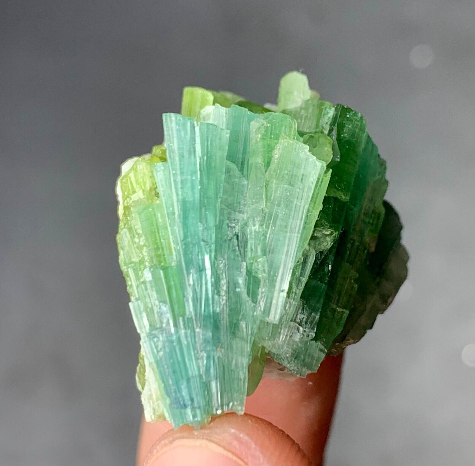 66 carat beautiful tourmaline crystal specimen From Afghanistan