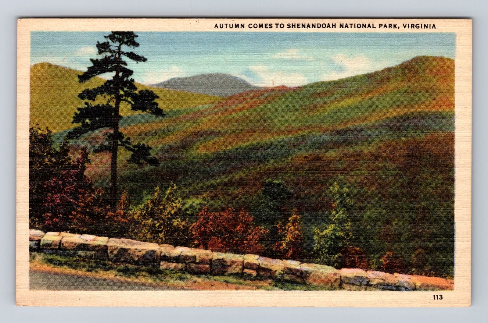 Shenandoah National Park, Autumn Coming, Antique, Vintage Souvenir Postcard