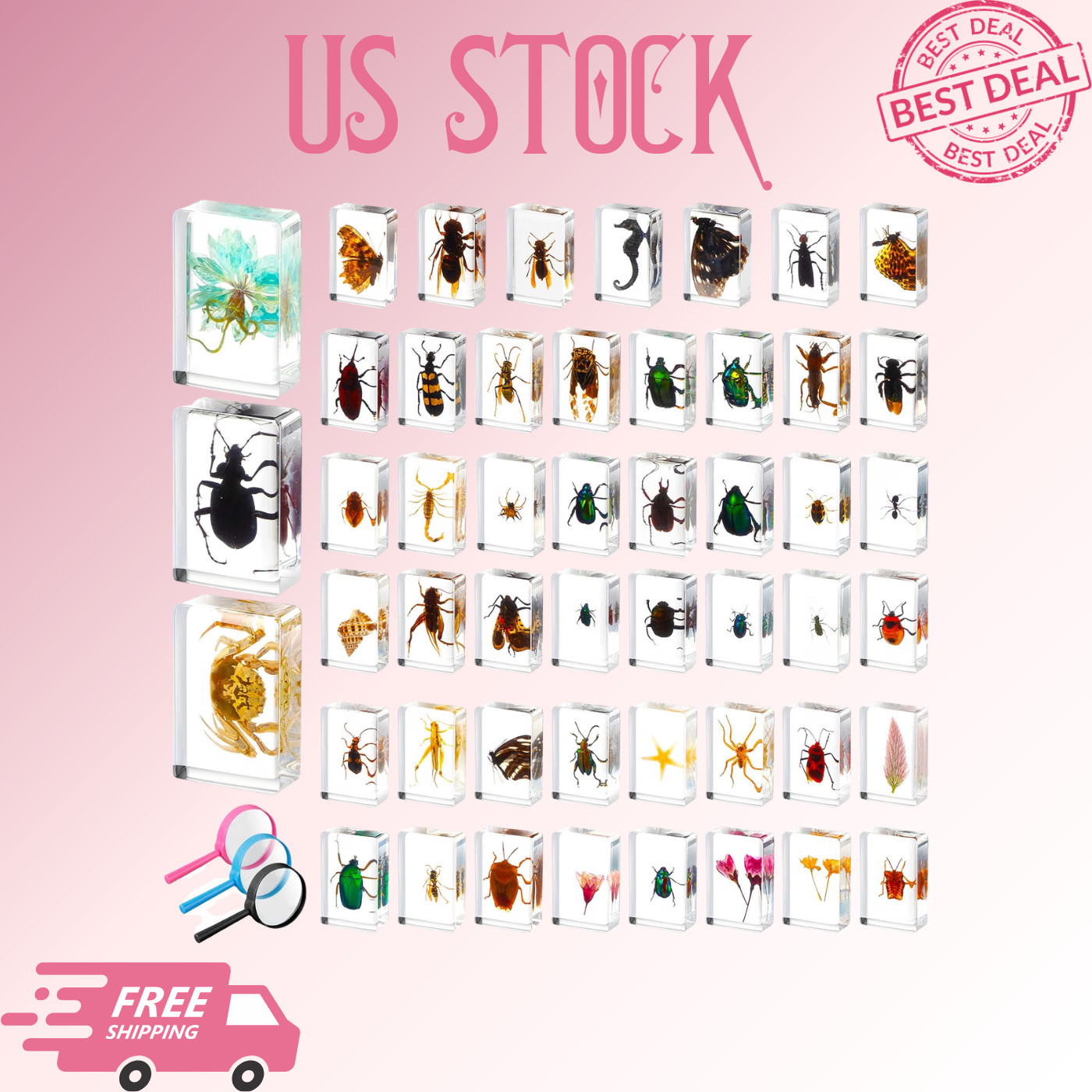 NEW 50PCS Insect Resin Specimen Collection with 3 Magnifiers Educational Bug Kit