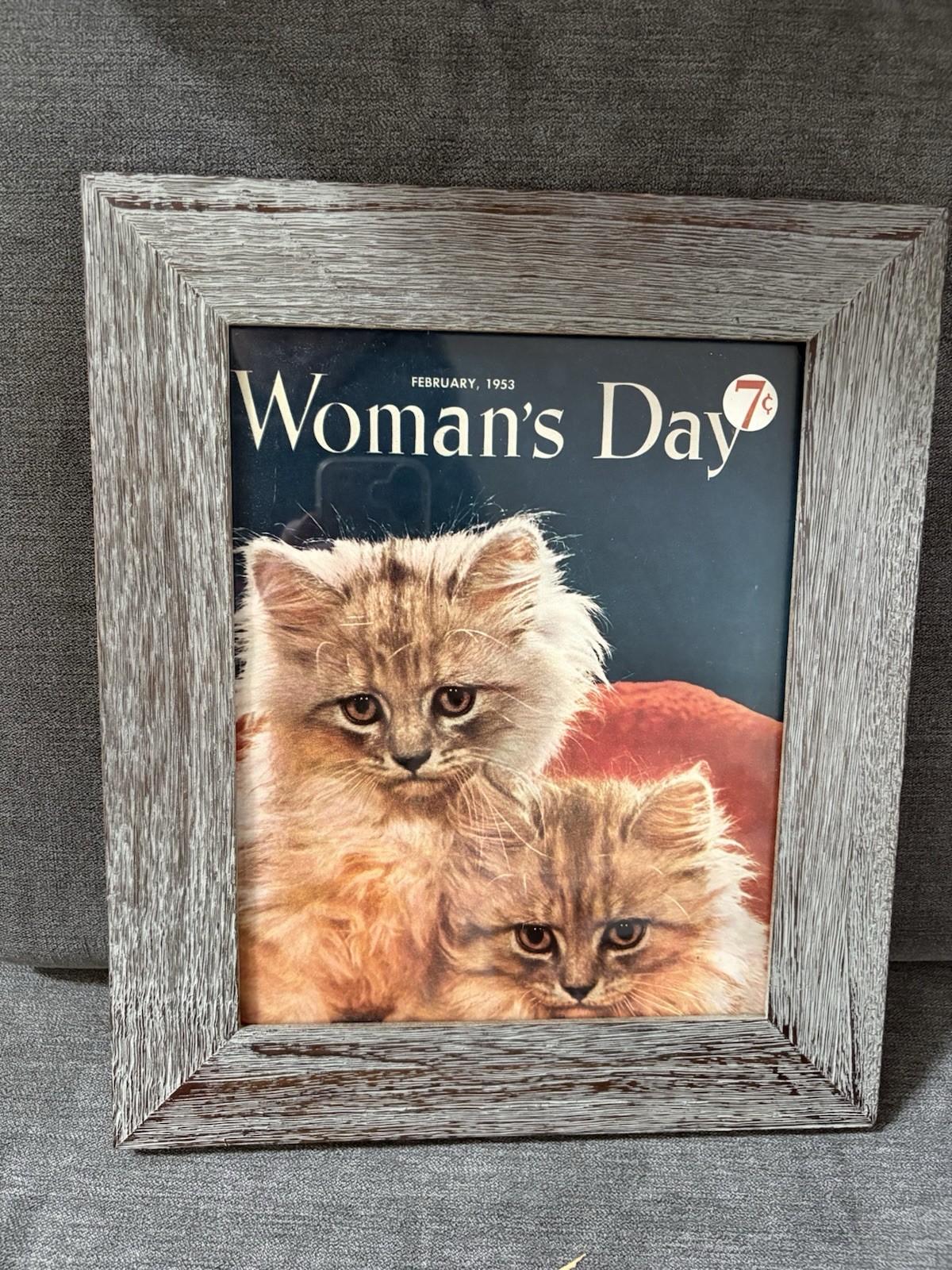 Vintage Cat Ephemera Newspaper Magazine Clipping Framed Art