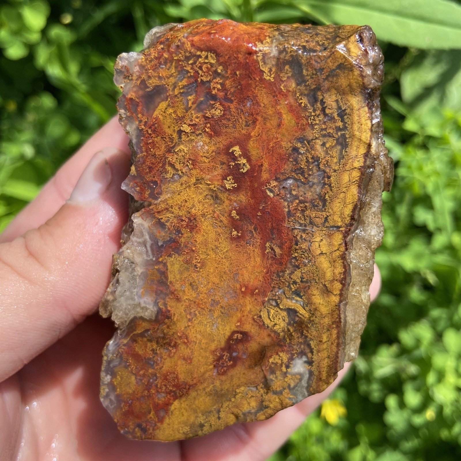 Vibrant Red Plume Agate Lapidary Rough Material 10.60 Oz