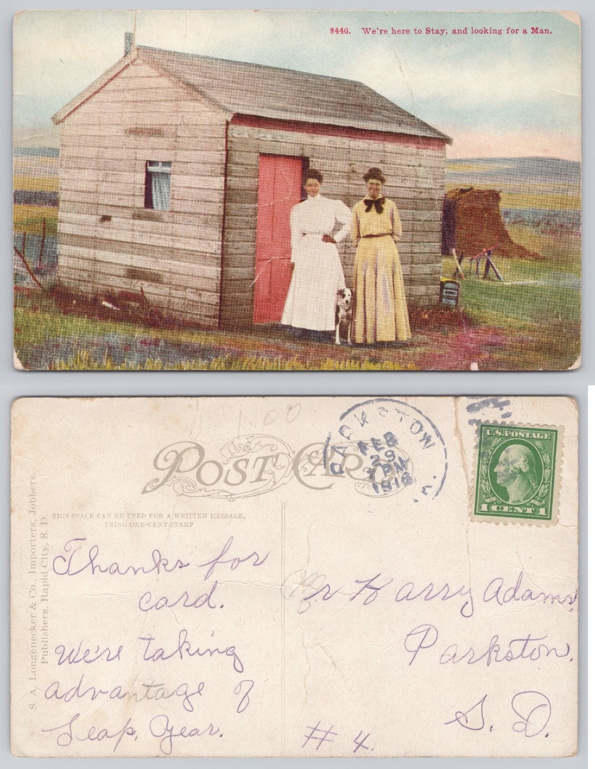 1916 Leap Year Postcard South Dakota Women Looking for a Man Funny Caption