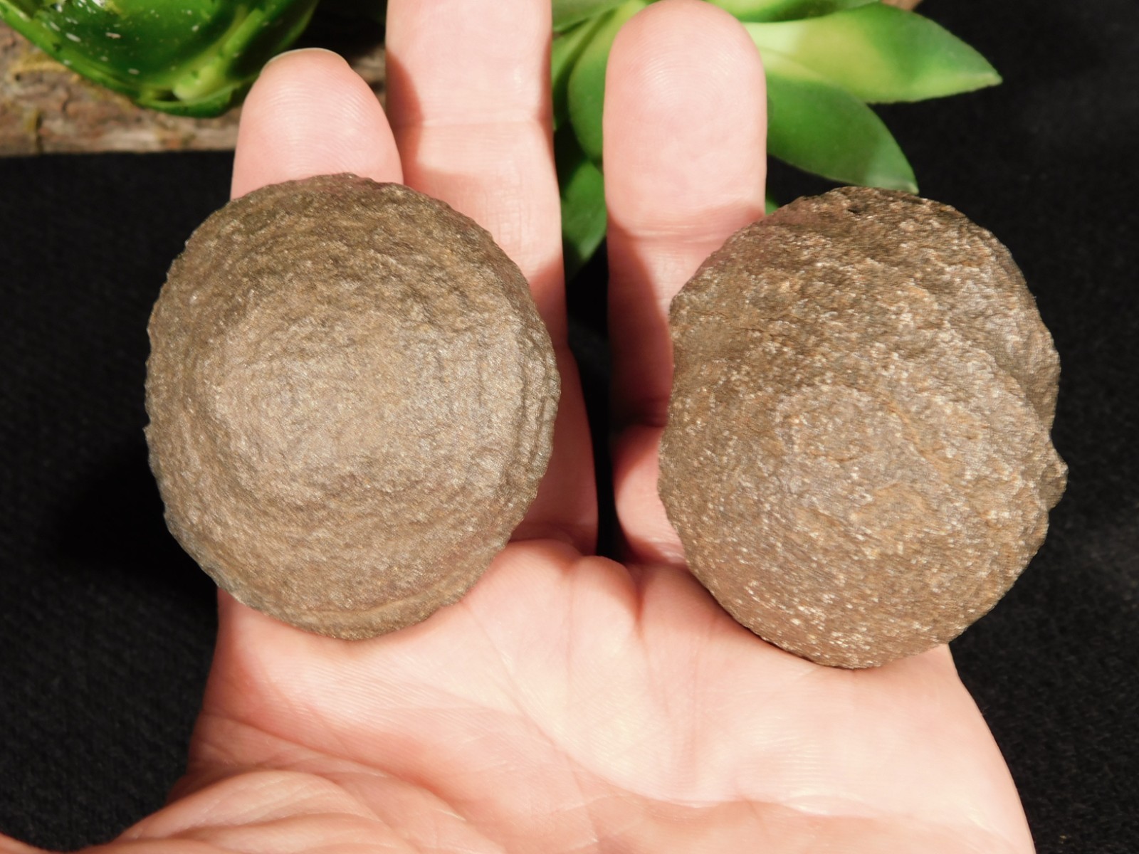 Larger MOQUI Marble / Shaman Stone PAIR 100% Natural Utah 193gr