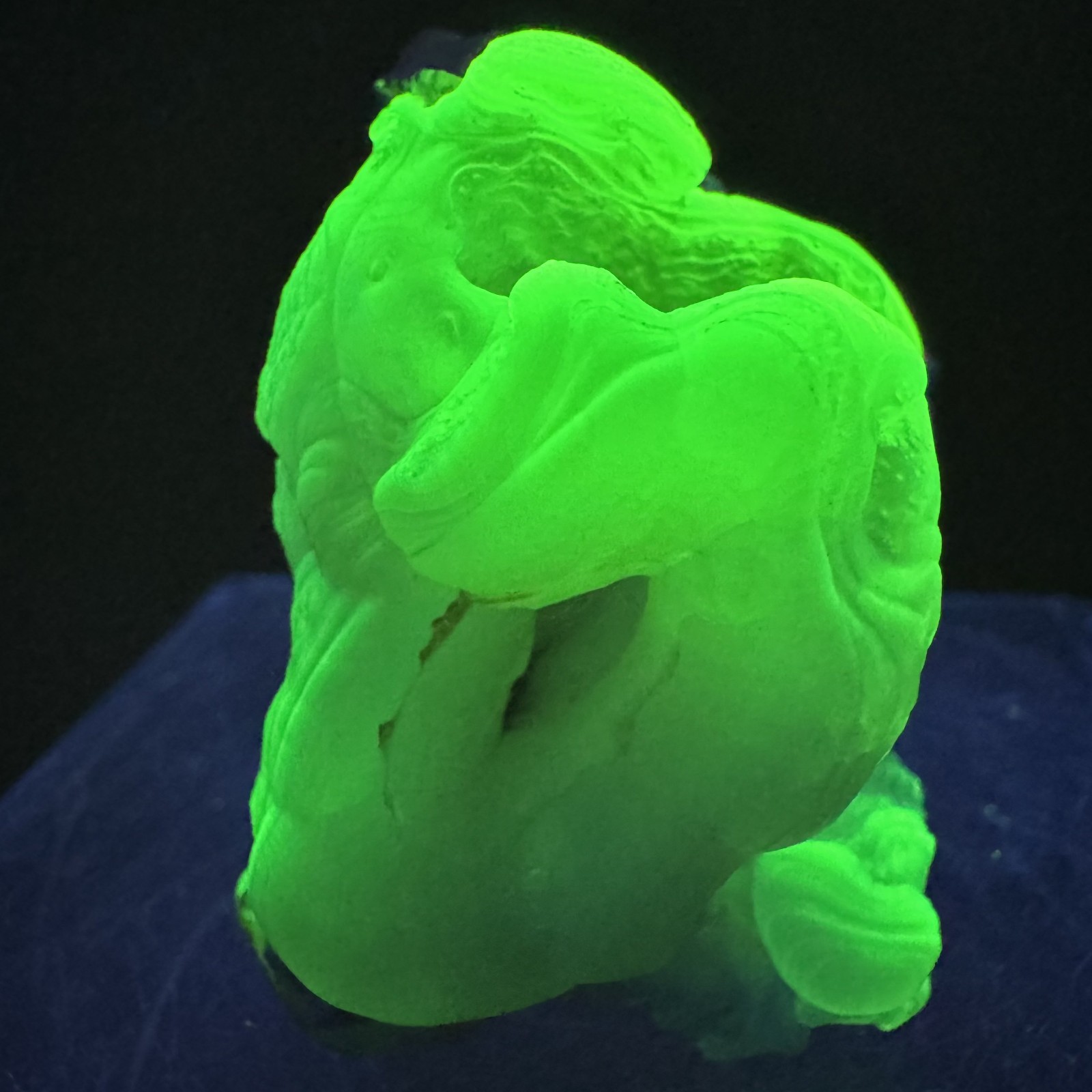 Bright Green Fl. Chalcedony: Yankee Dog Claim, Hidalgo County, New Mexico, Bright Green Fl. Chalcedony: Yankee Dog Claim, Hidalgo County, New Mexico,