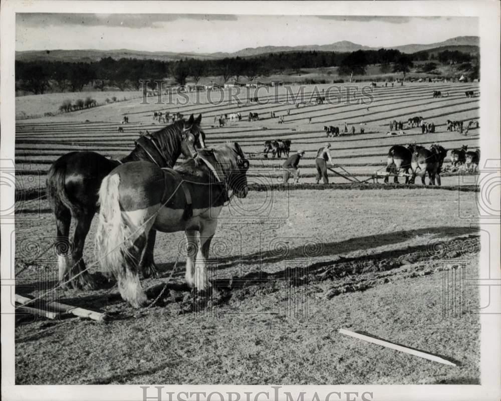 1946 Press Photo Teams compete in the plowing march in Perthshire, Scotland