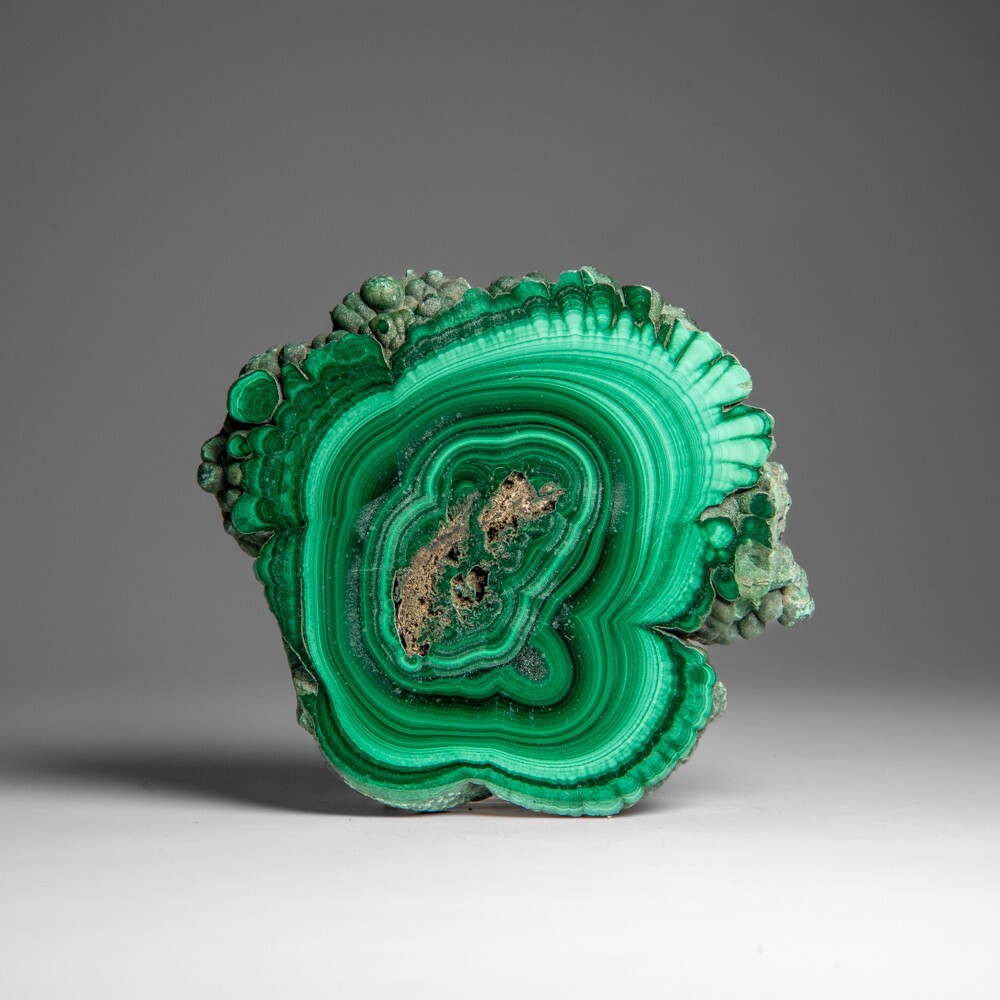 Genuine Polished Malachite Stalactite Slice (229 grams)