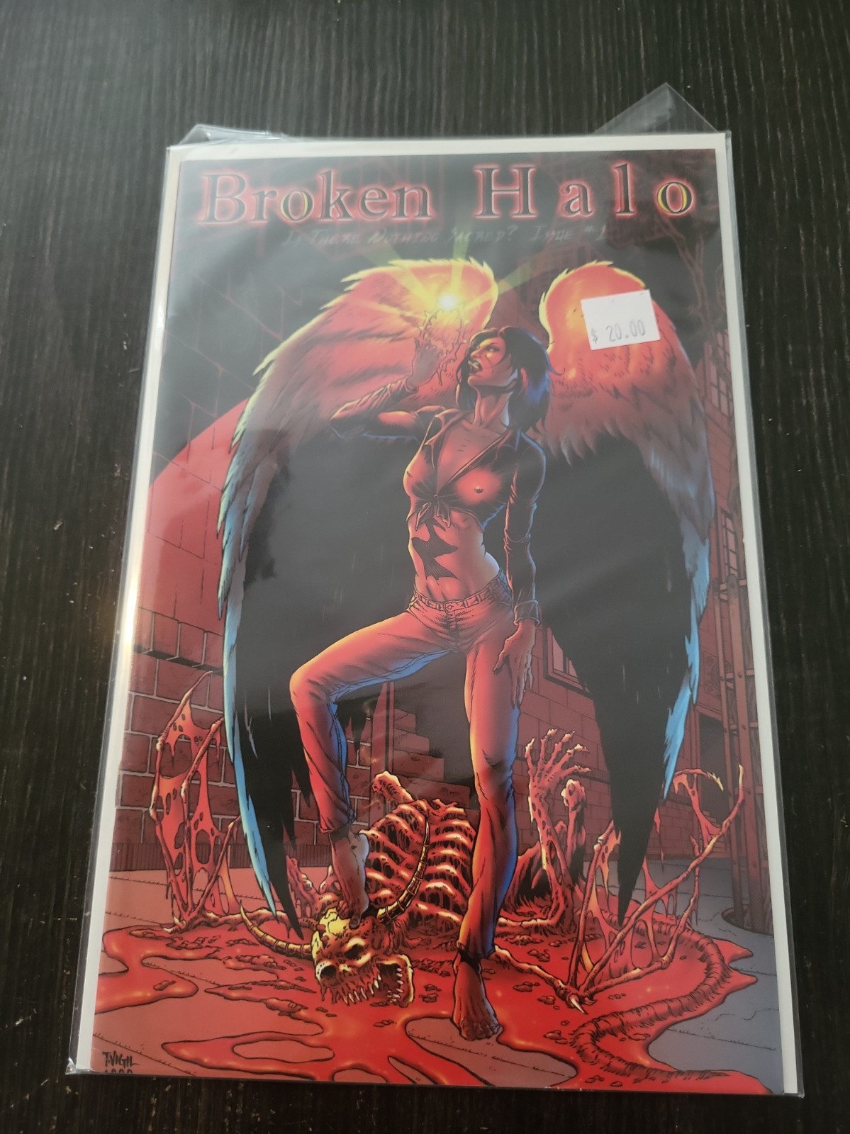 BROKEN HALO #1 Tim Vigil Faust Bad Girl 1st Print Higher Grade 