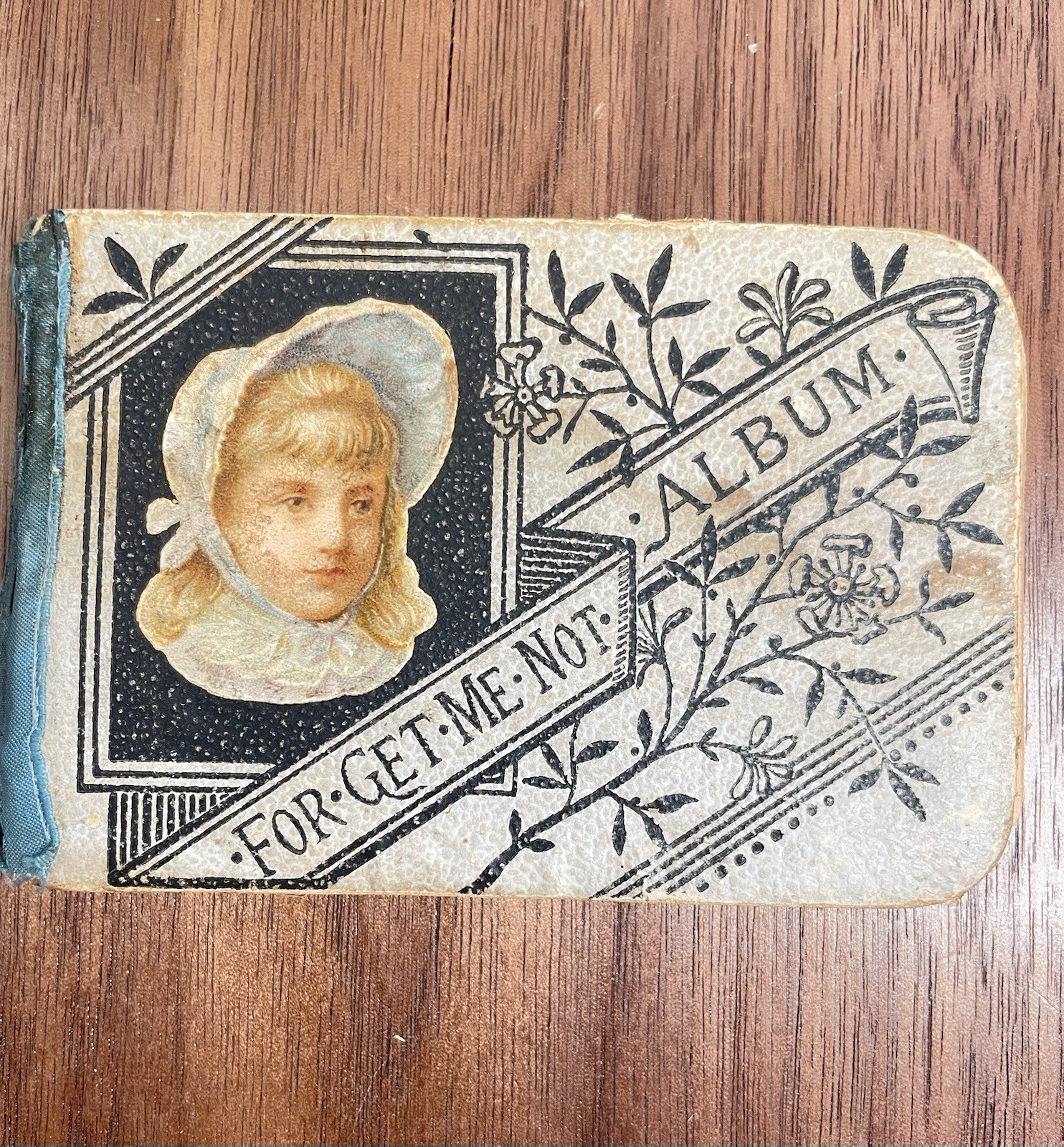 Antique Victorian 1886 Forget Me Not Autograph Friendship Album 31 Signed Pages