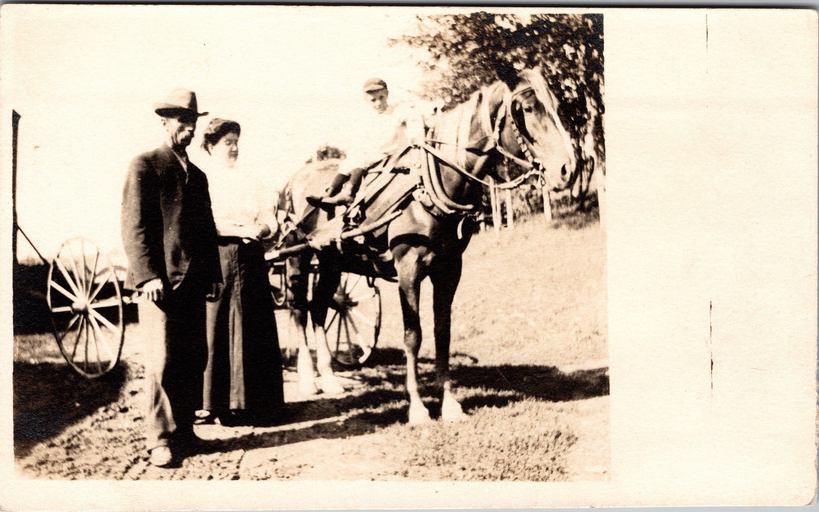 Postcard Real Photo RPPC Family with Horse Drawn Cart Unposted