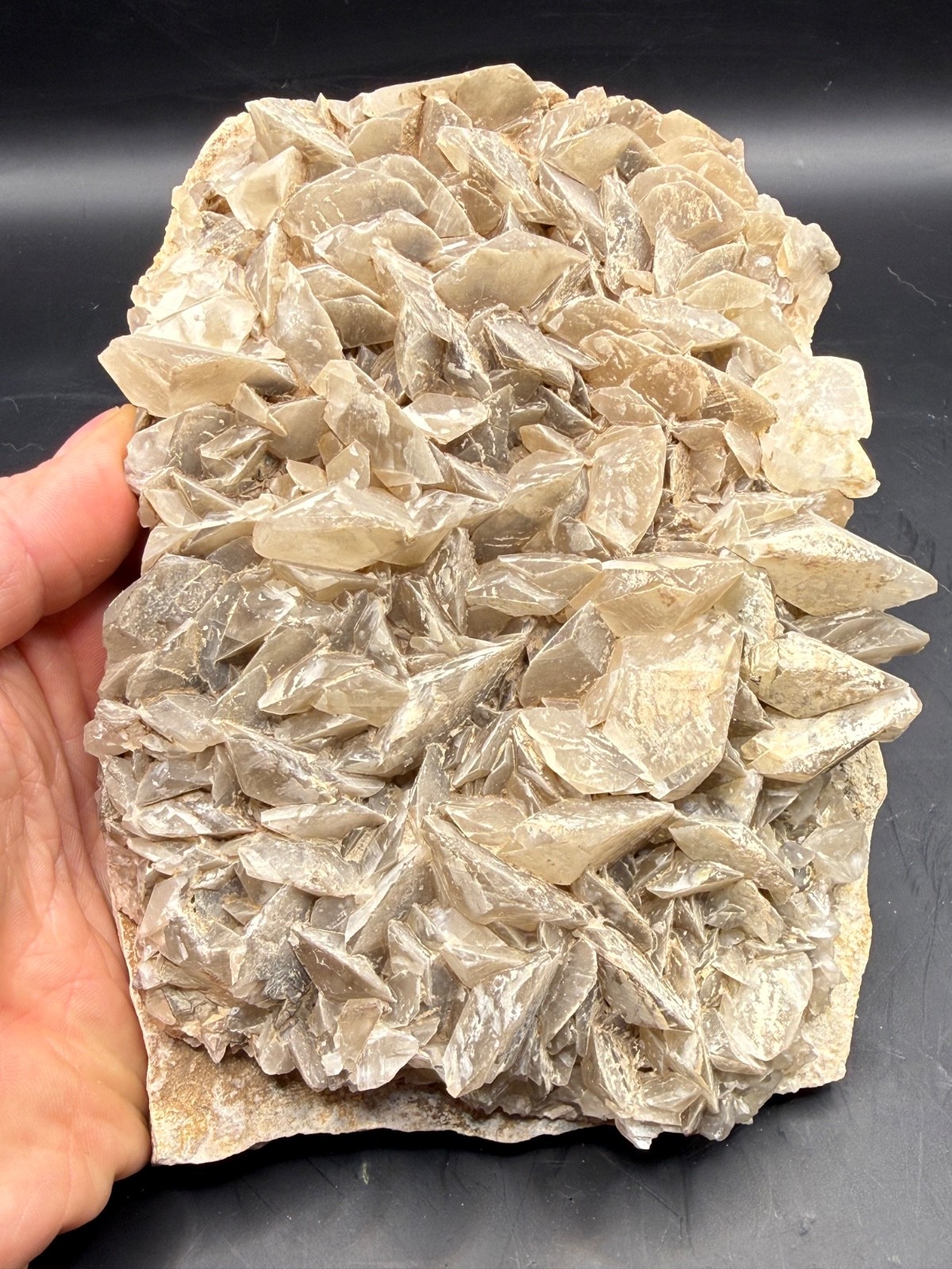 XL Uncommon Angel Wing Calcite Crystal Cluster Colorado Natural Mineral Specimen