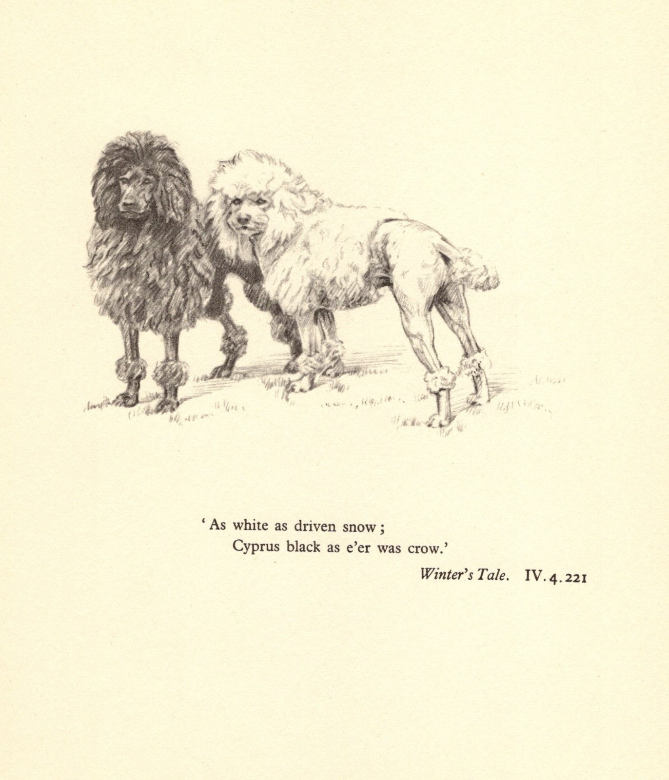 Vintage Poodle Print Shakespeare Winter\'s Tale Quote Print 7073a