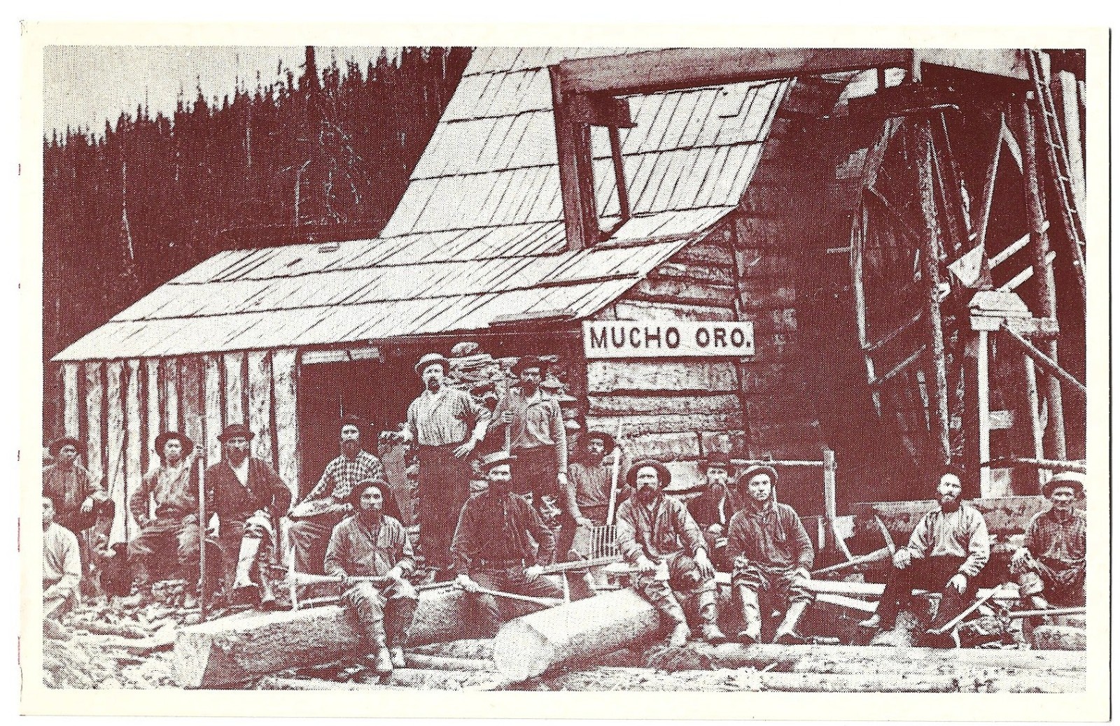 Mucho Oro Gold Claim Lowhee Creek Cariboo BC Canada Miners Vintage Postcard