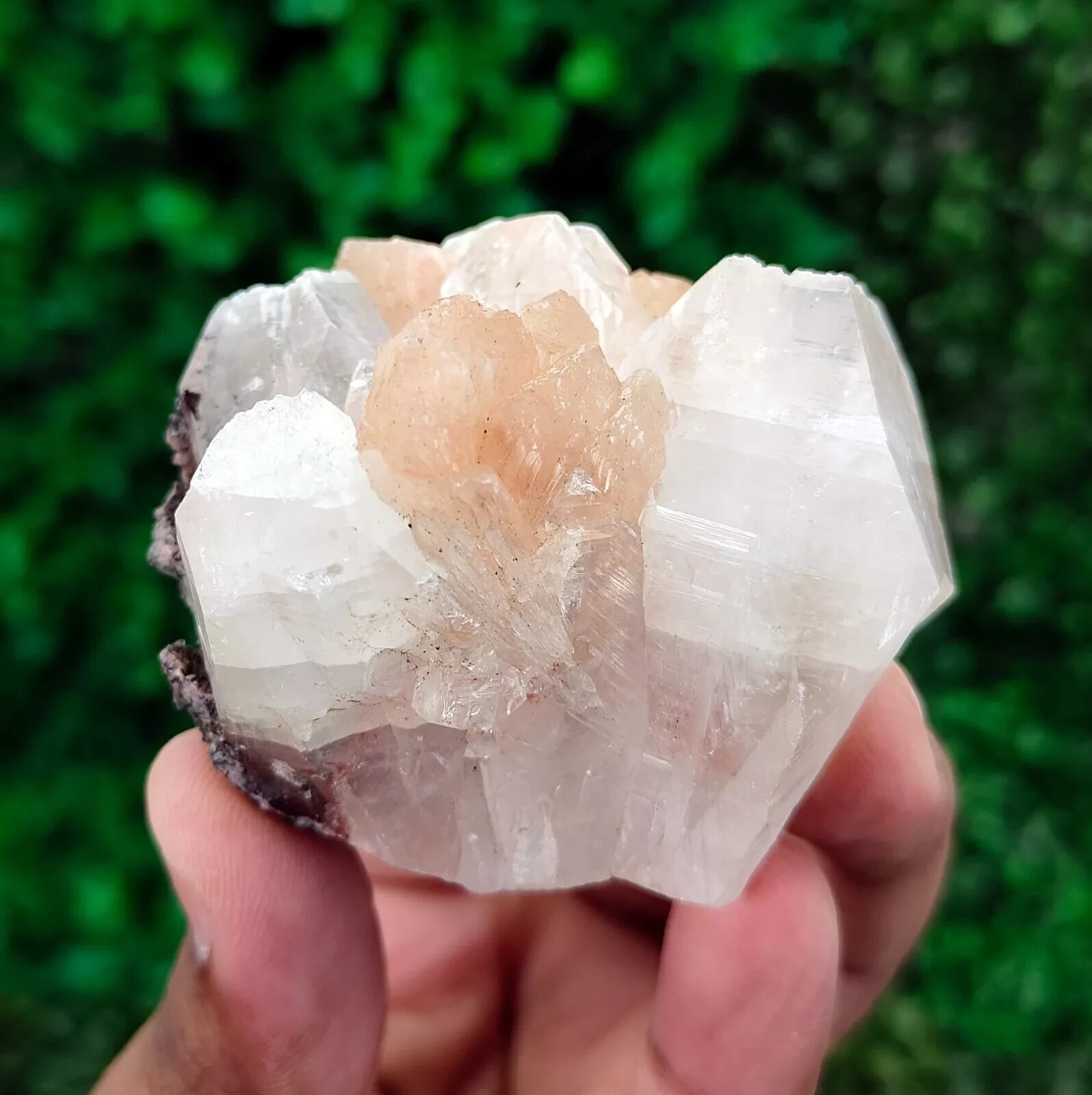 Natural Apophyllite, Stilbite Mineral Specimen