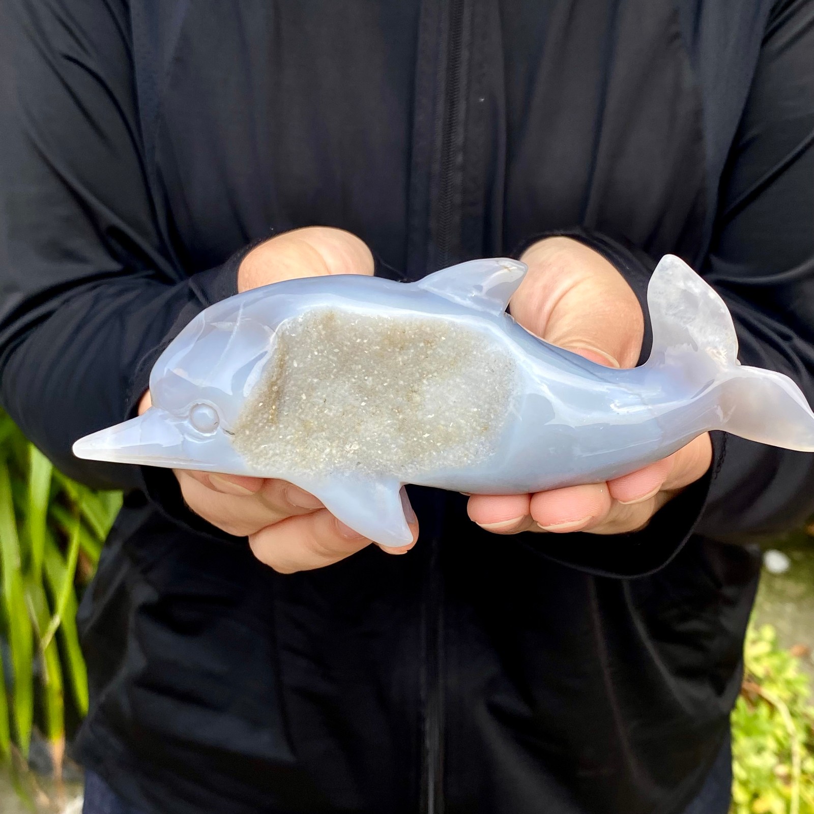 277G Natural agate geode quartz crystal engrave Dolphin skull healing gift