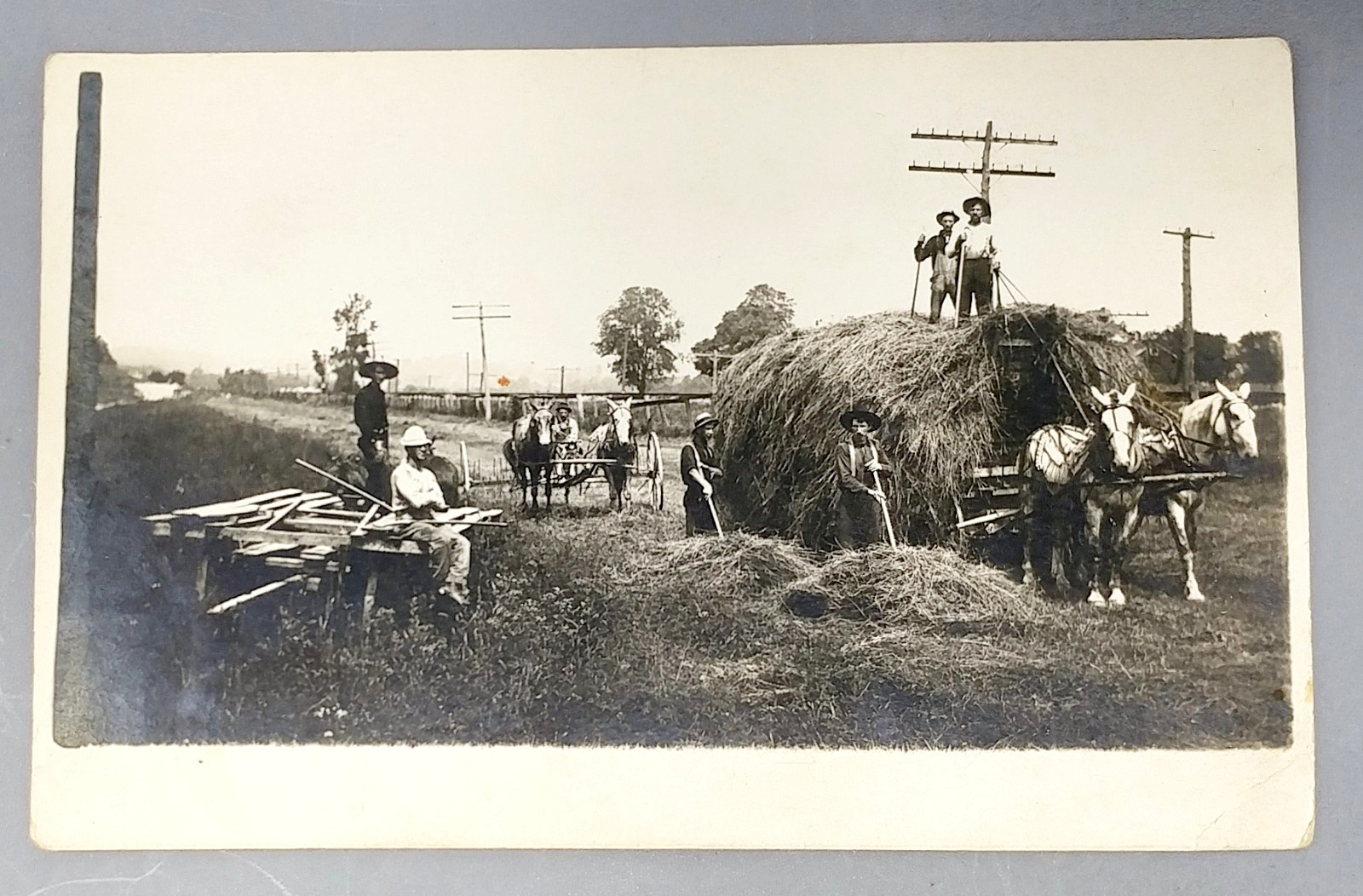 c1910 Hay Harvest Farm Crew Draft Horses Real Photo Postcard RPPC Antique Unpost