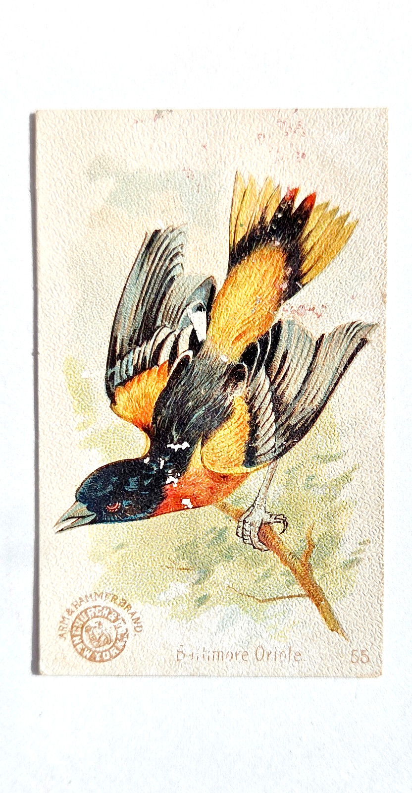 1898 (J2) #55 Baltimore Oriole, New Series Beautiful Birds, Arm Hammer, Large