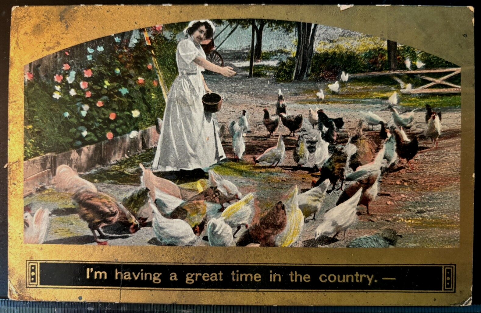 Victorian Humor Postcard 1909 \