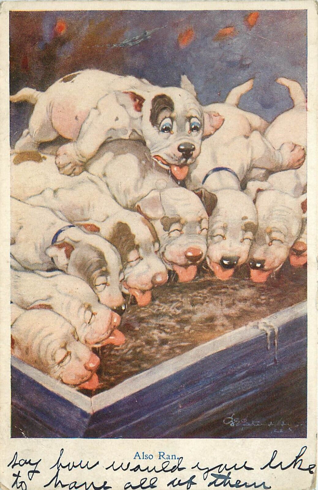 G. Studdy R.P.S. Postcard 1006 Bonzo Dog Puppies at Water Trough, Also Ran