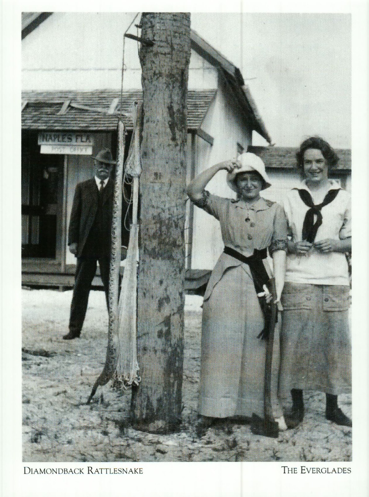 *Florida Postcard-