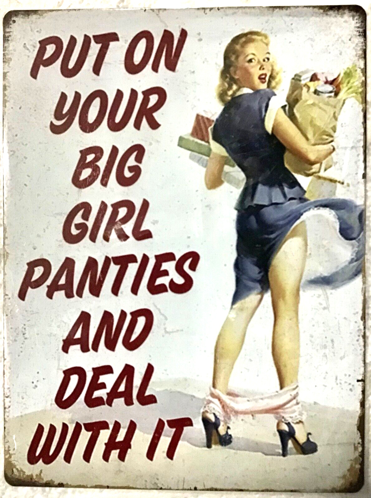 12x16 TIN SIGN Panties sexy girl Funny Daughter Girlfriend Wife  SS