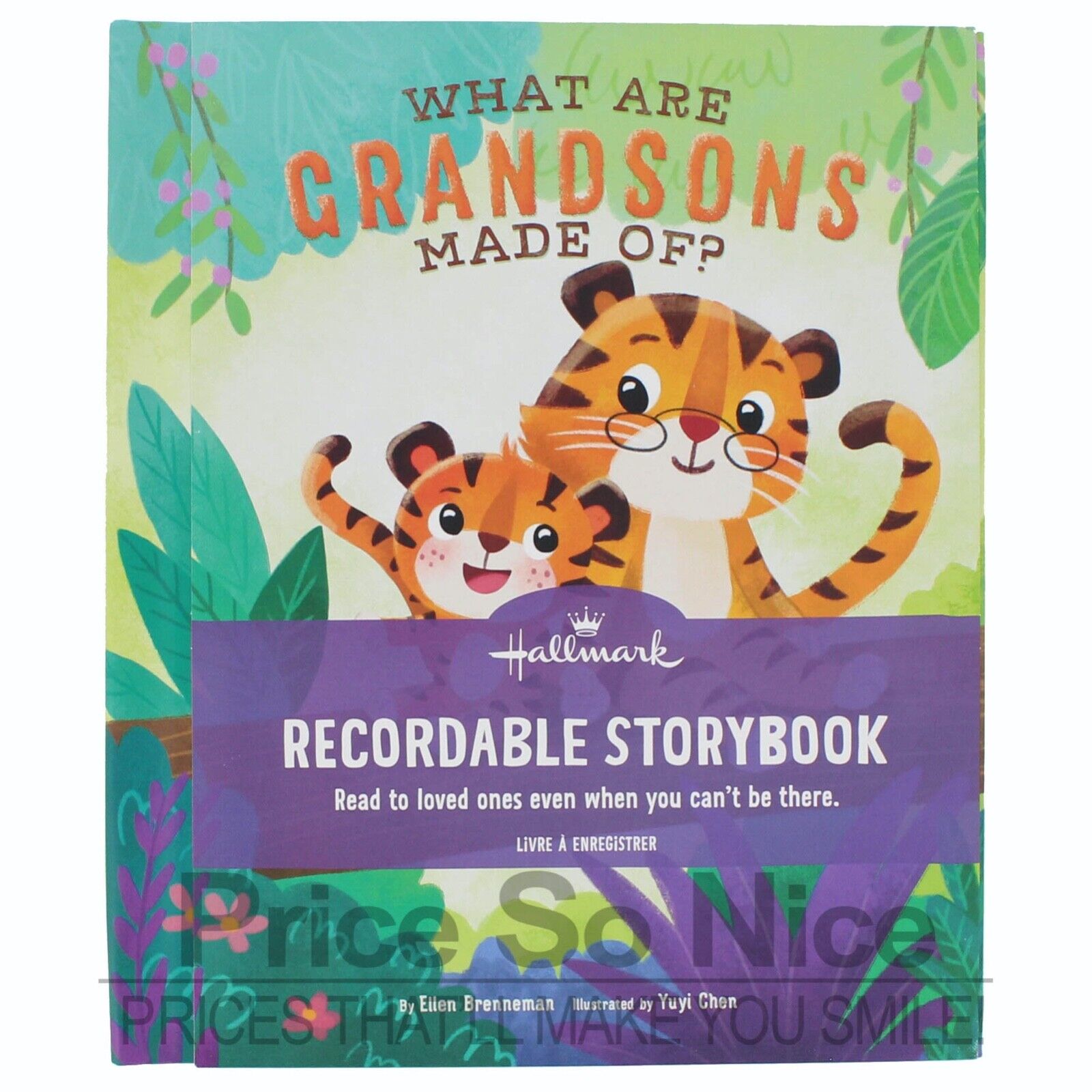 Hallmark What Are Grandsons Made Of? Recordable Storybook