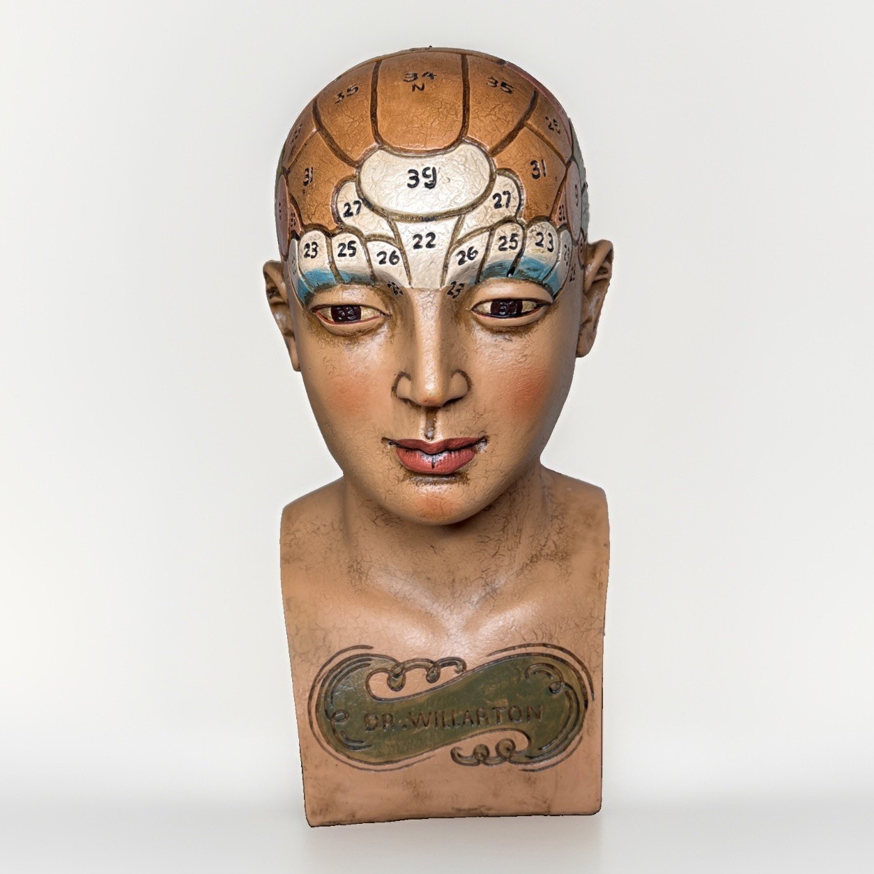 VINTAGE DR. WILLARTON PHRENOLOGY HEAD BUST Antique Rare VINTAGE DR. WILLARTON PHRENOLOGY HEAD BUST Antique Rare