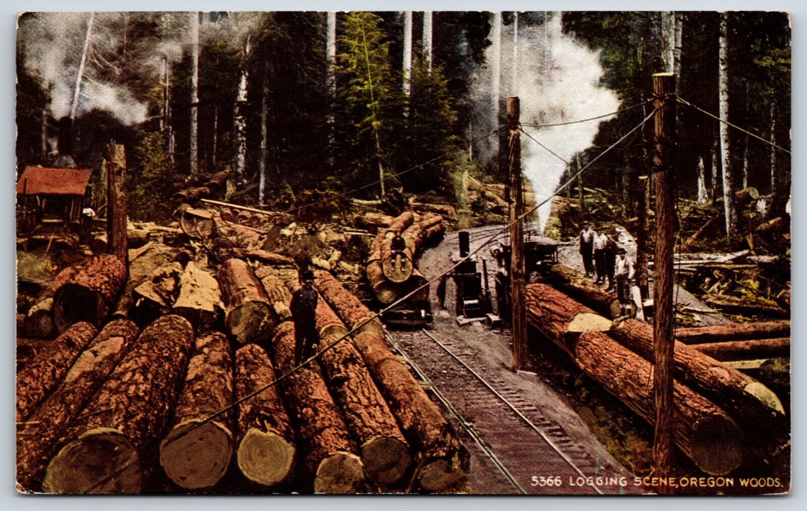Postcard Logging Scene, Oregon Woods, Oregon Posted 1929