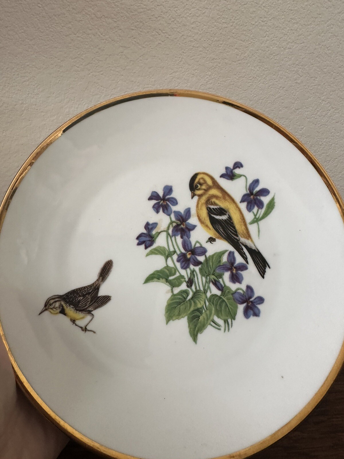 German Plate Porcelain Bird Yellow Bareuther Waldsassen Bavaria  Gold Trimmed