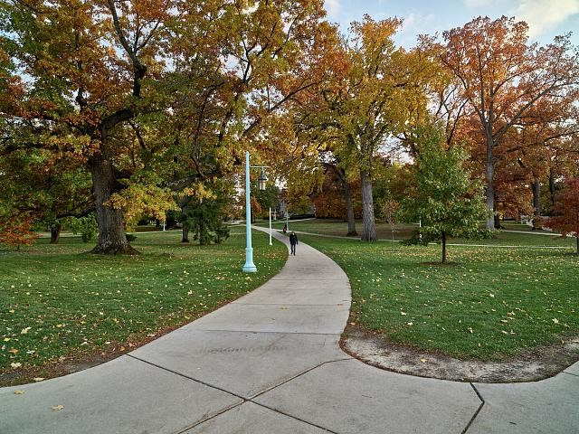 Michigan State University East Lansing Michigan 2000s Quad Walkway Trees